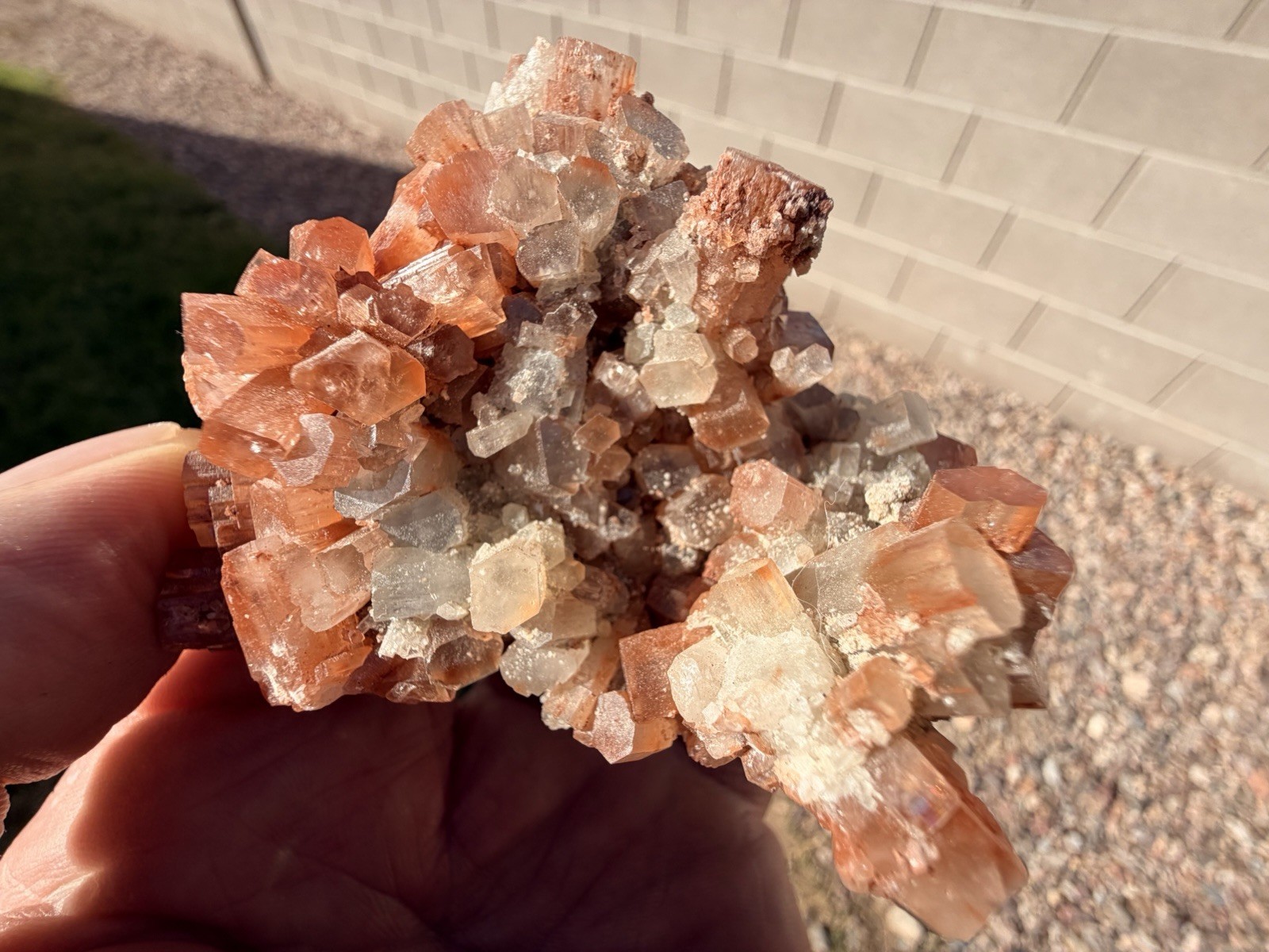 Natural Red Aragonite Crystal Cluster Specimen From Morocco, 194.4g, 4.5 Inches