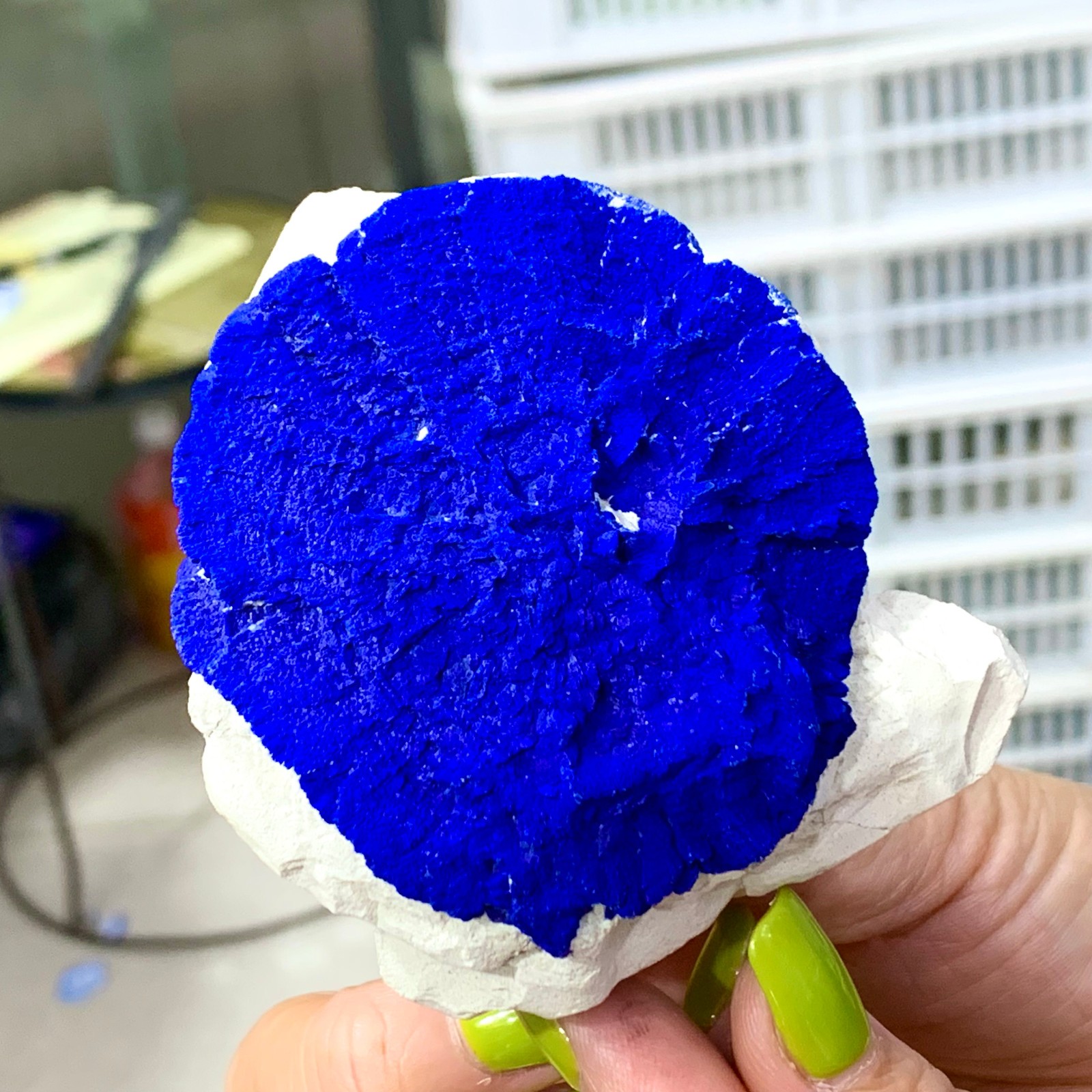 147G Sunflower azurite Fantastic Azurite Suns On Kaoline from Malbunka Australia