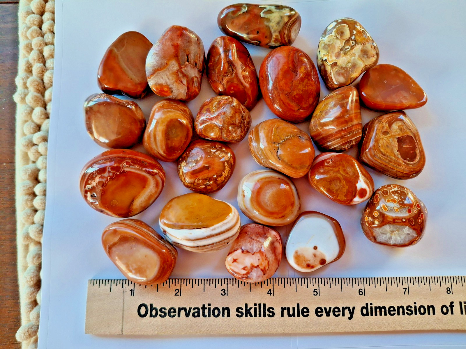 Beautiful Polished Banded Whole Brazilian Bahia Agate Nodules 3 Stone Lot