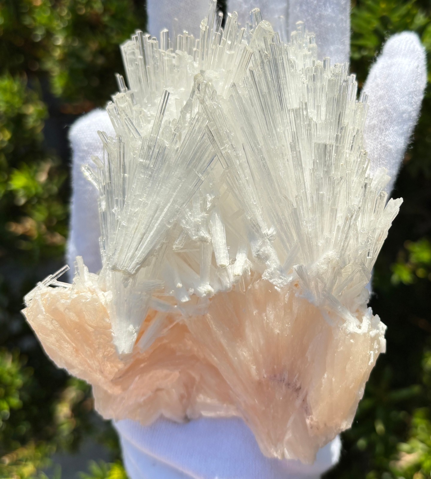 USA SALE 262g 4.3″ x 3.3″ LARGE SCOLECITE STILBITE SPECIMEN Fan/Blades/Spray
