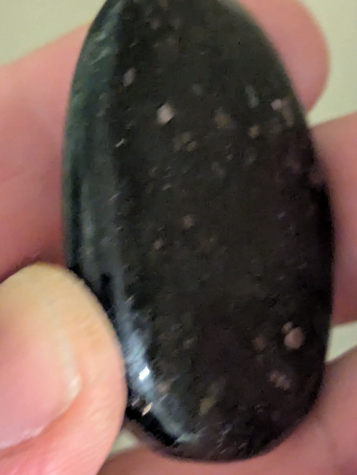 Flat Round Ovular sparkling Palm Stone