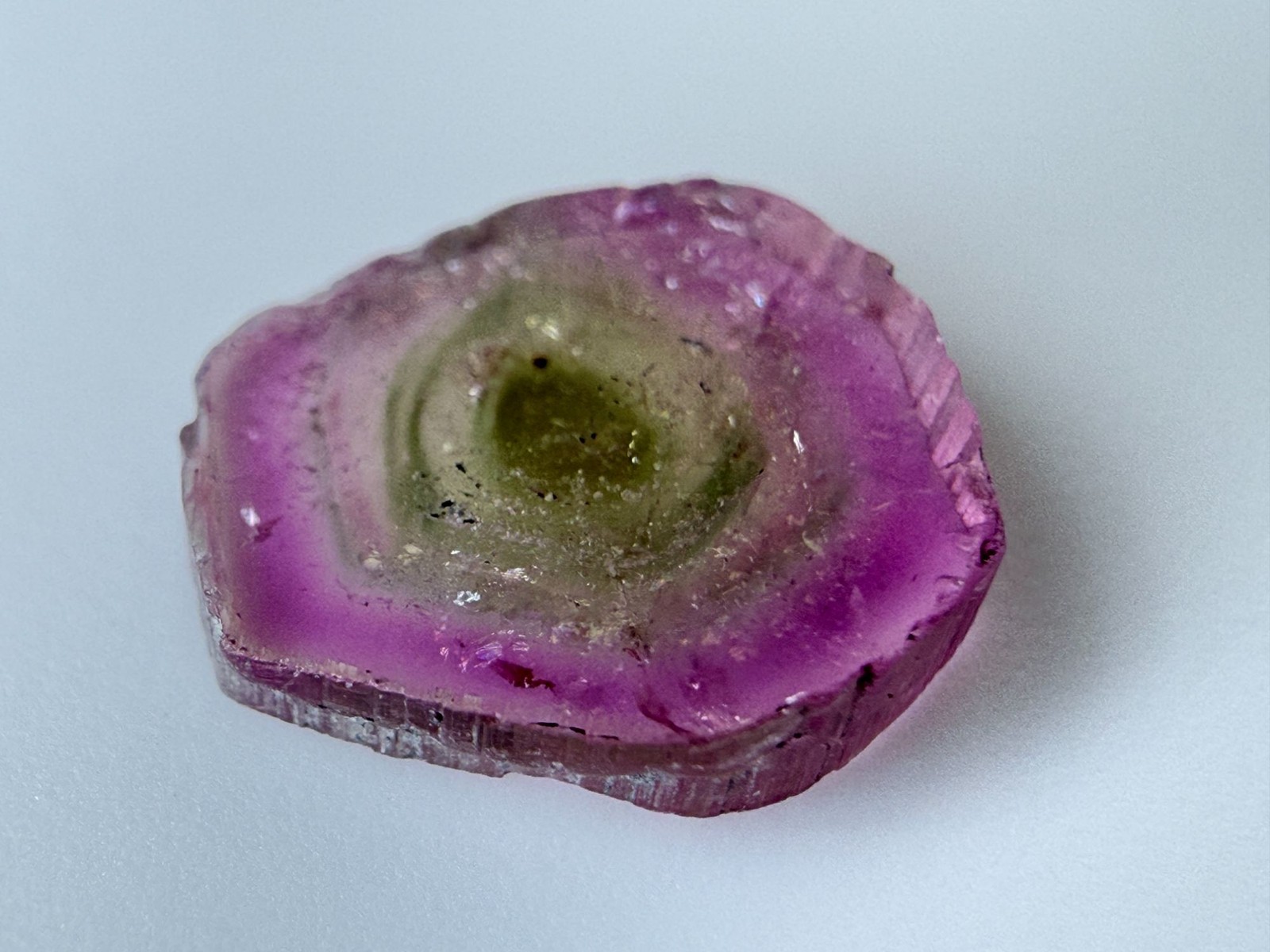 Watermelon Tourmaline Slice Specimen .835 ct 7.35mm Max Length Natural Shape