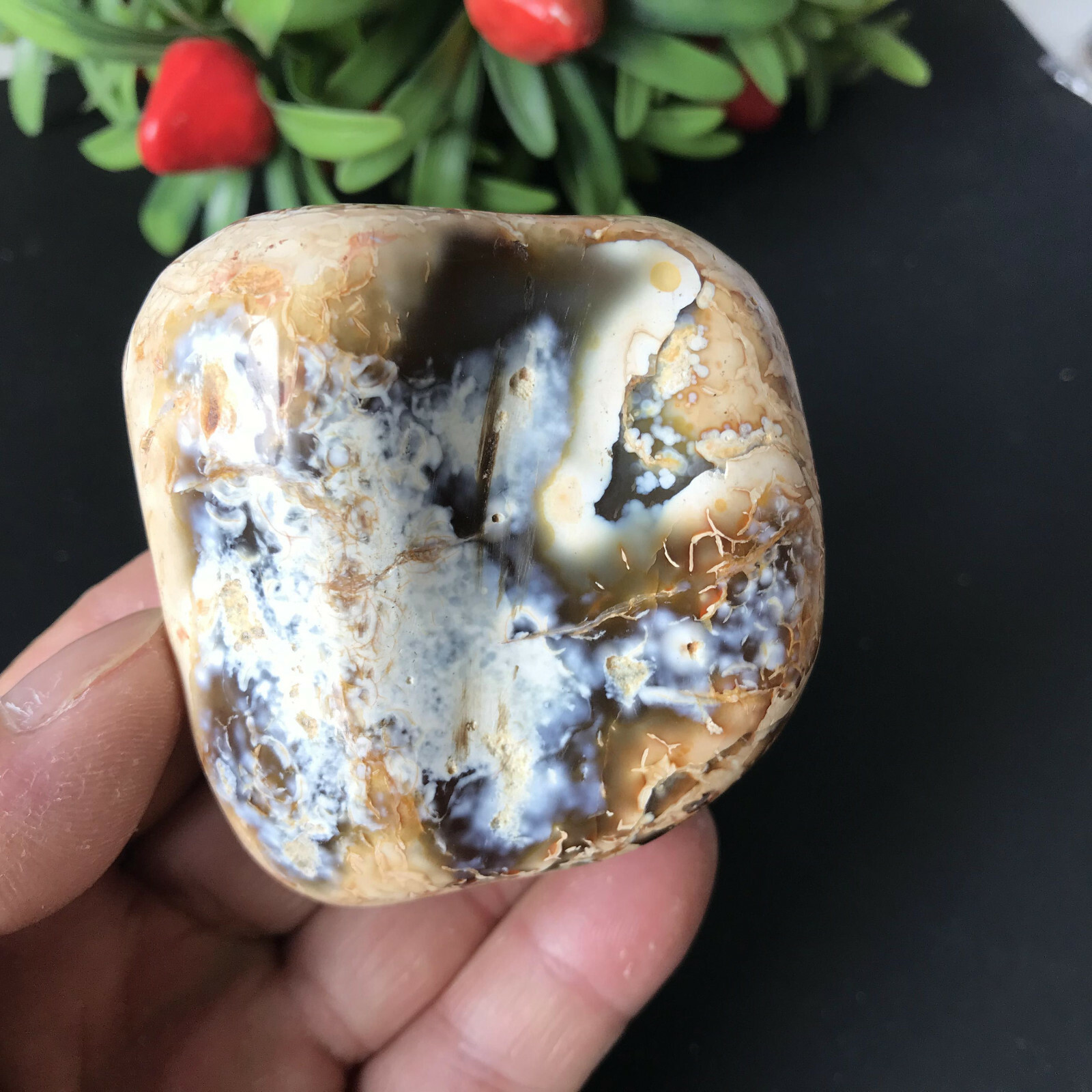 204gRare Beautiful Colourful agate Geode polishing furnishingarticle8560