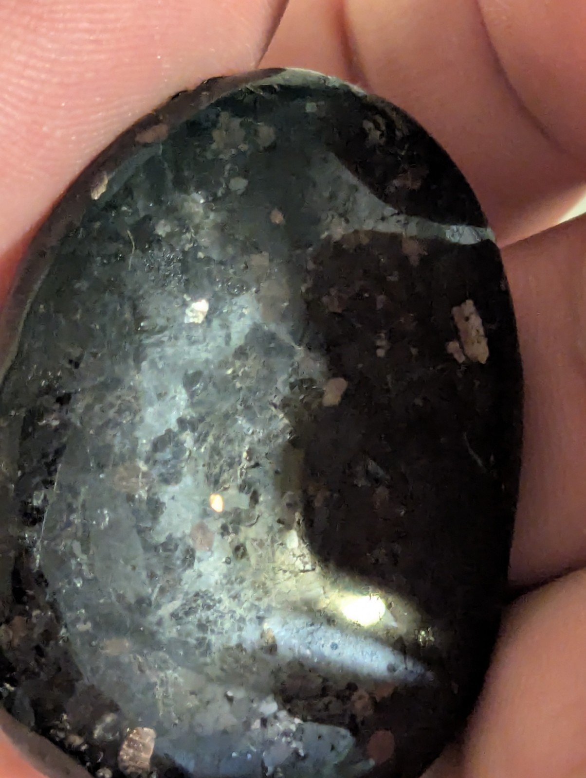 Flat Round Ovular sparkling Palm Stone