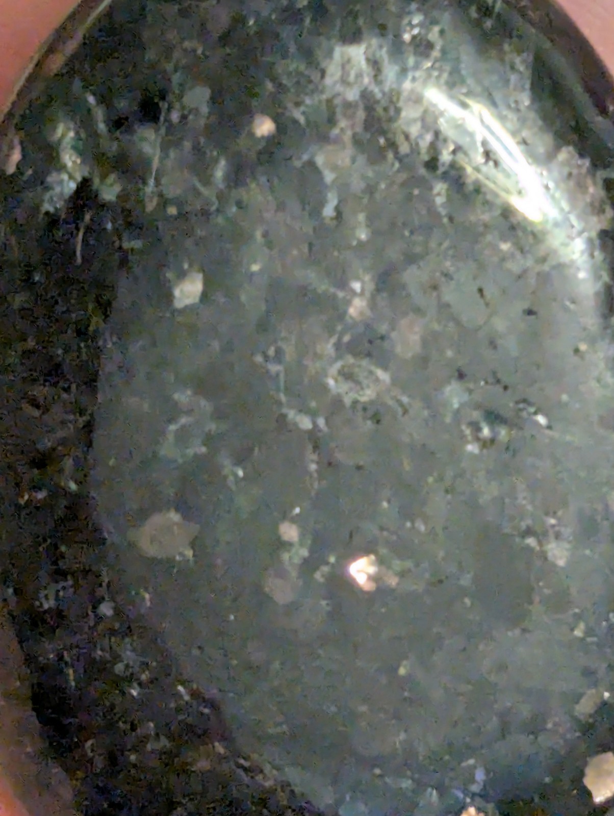 Flat Round Ovular sparkling Palm Stone