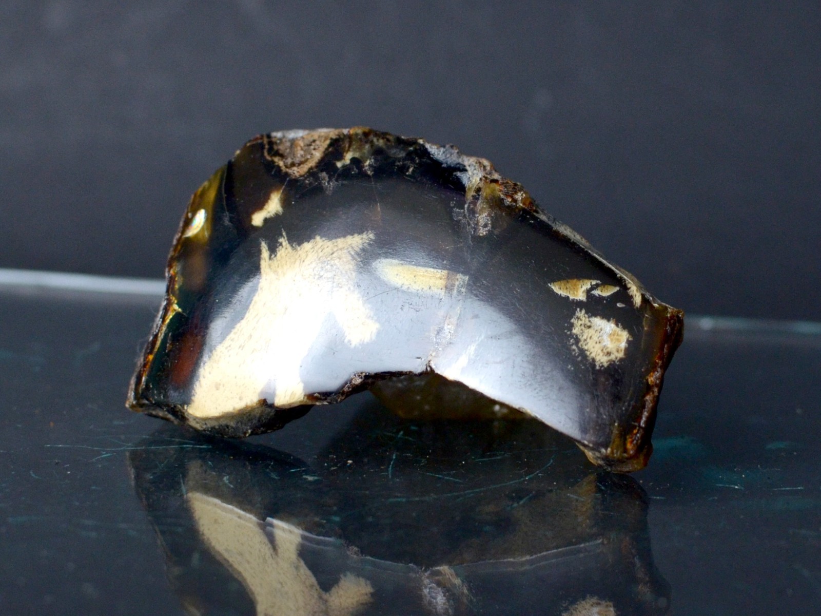 Polished Blue Amber | UV Reactive Amber Indonesia B116
