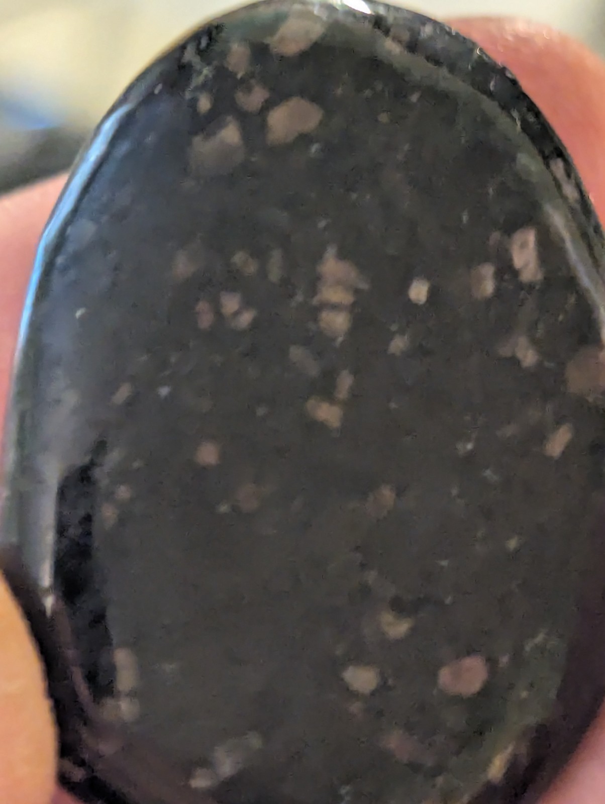 Flat Round Ovular sparkling Palm Stone