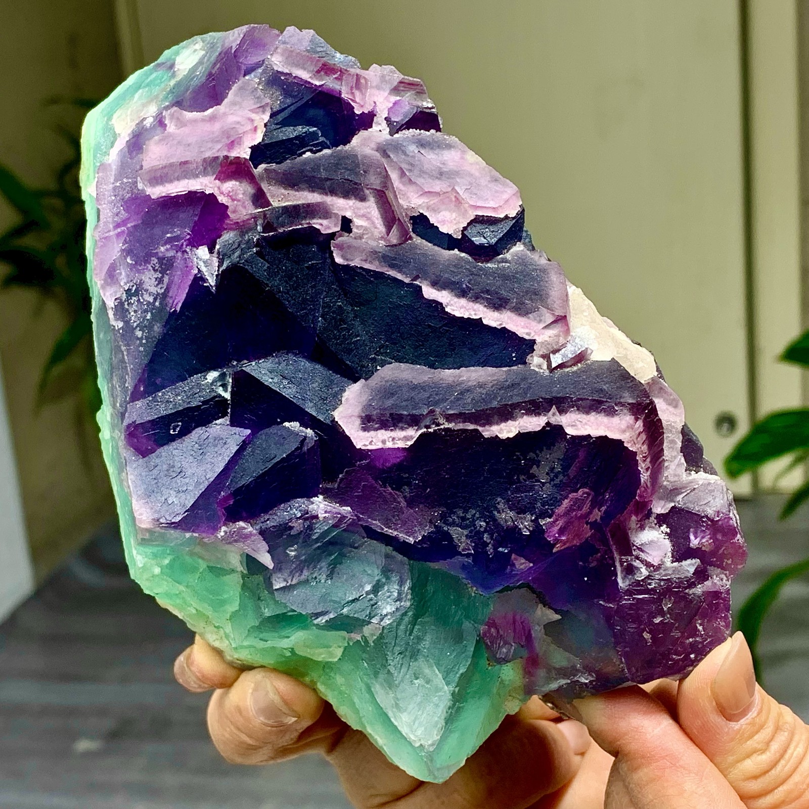 3.49LB Rare transparent purple-green cubic fluorite mineral crystal sample/China