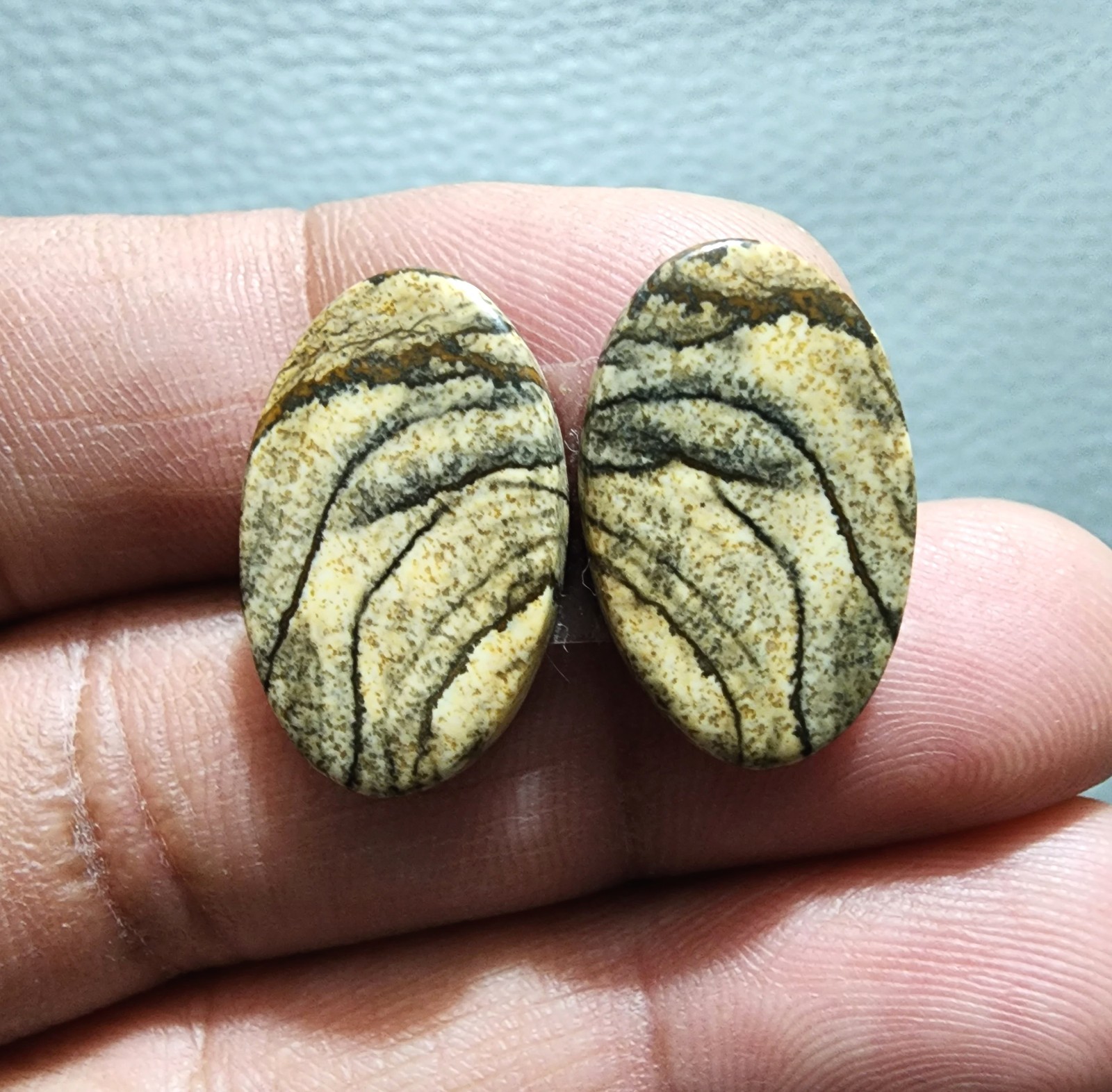 Natural Picture Jasper Matching Pair 19Ct Oval Shape Cabochon Loose Gemstone