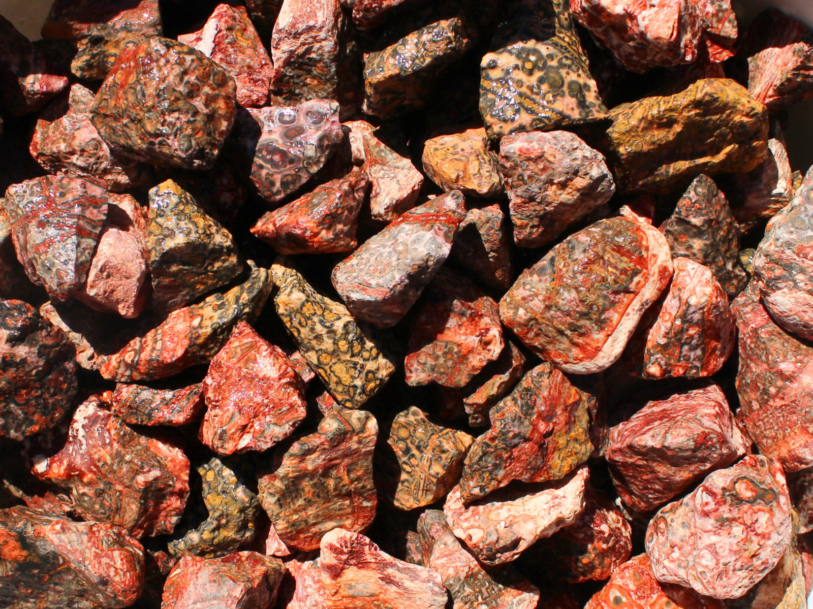 Leopard Skin Jasper – Rough Rocks for Tumbling – Bulk Wholesale options