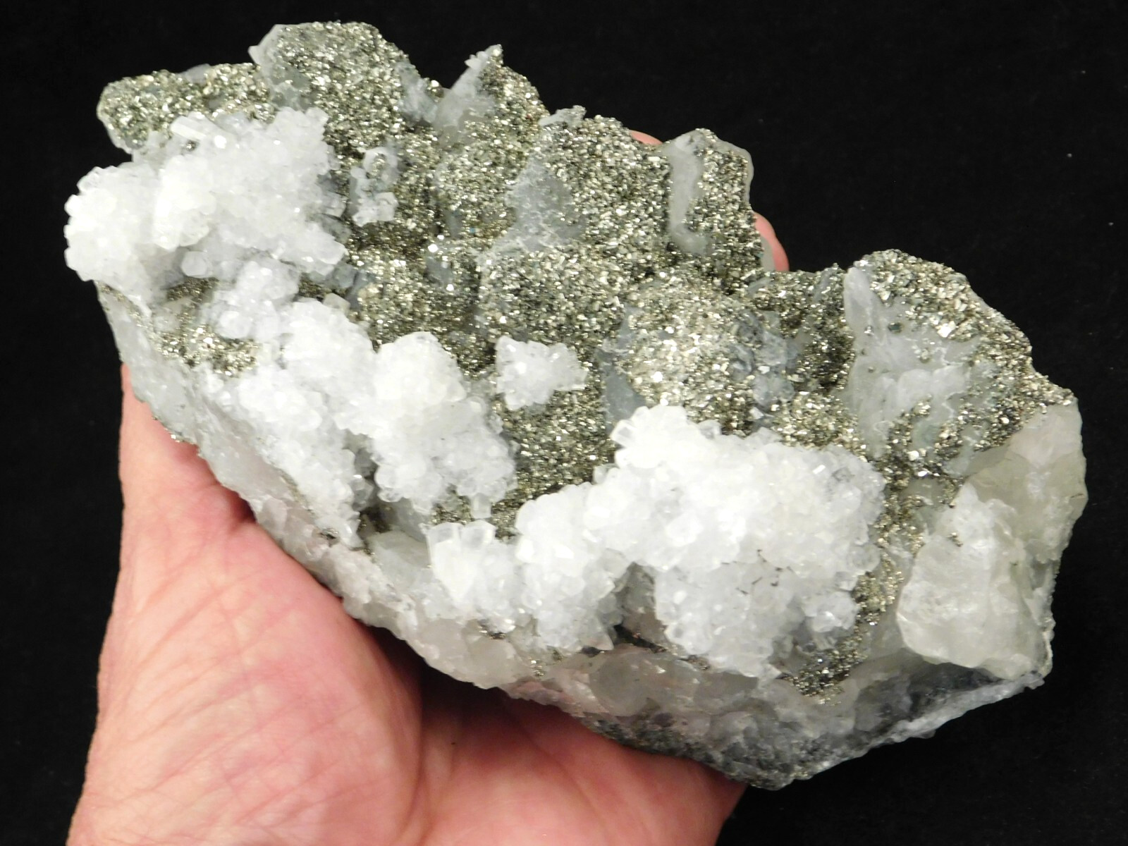 BIG! Pyrite Crystal Cluster on DOGTOOTH Calcite Crystals! From Mexico 1202gr