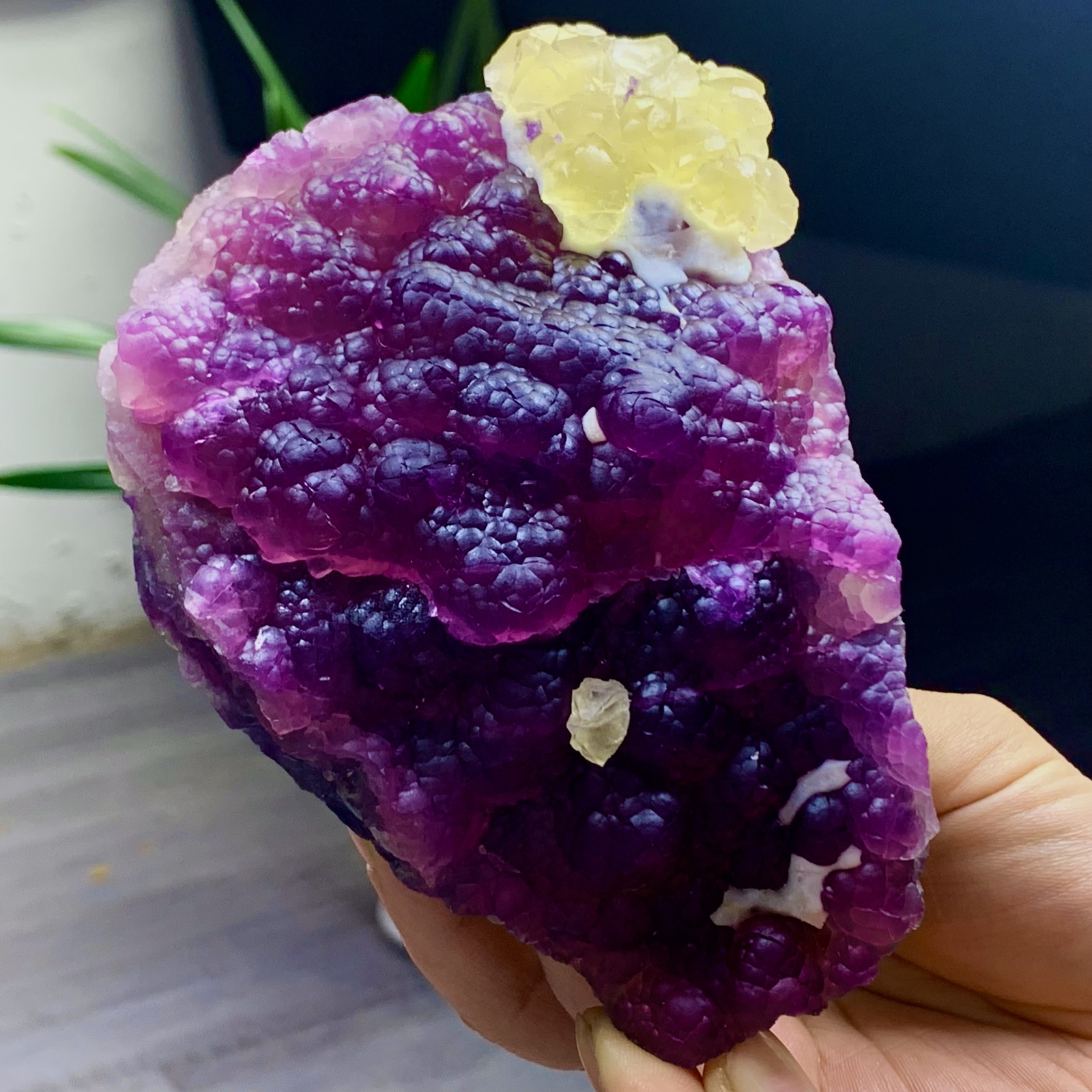 2.40LB Complete rare and gorgeous purple fluorite from Inner Mongolia, China