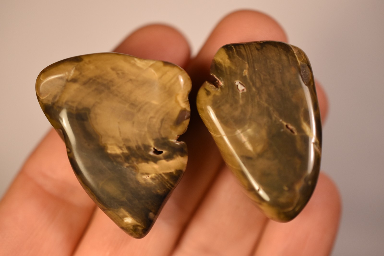 2 *AUSTRALIAN PETRIFIED WOOD* Tumbled Stones 4cm 58.2g Natural Stone QLD