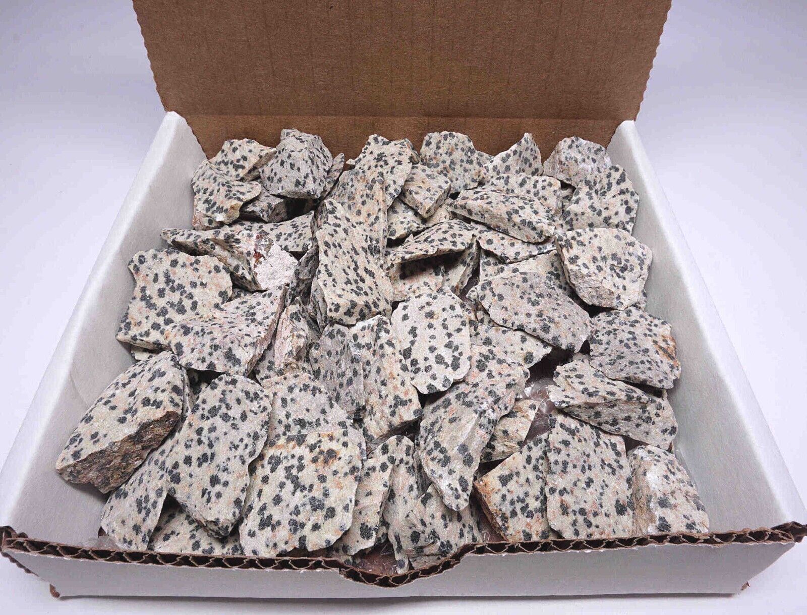 Dalmation Jasper Collection 1 LB Natural Black & White Mineral Specimens