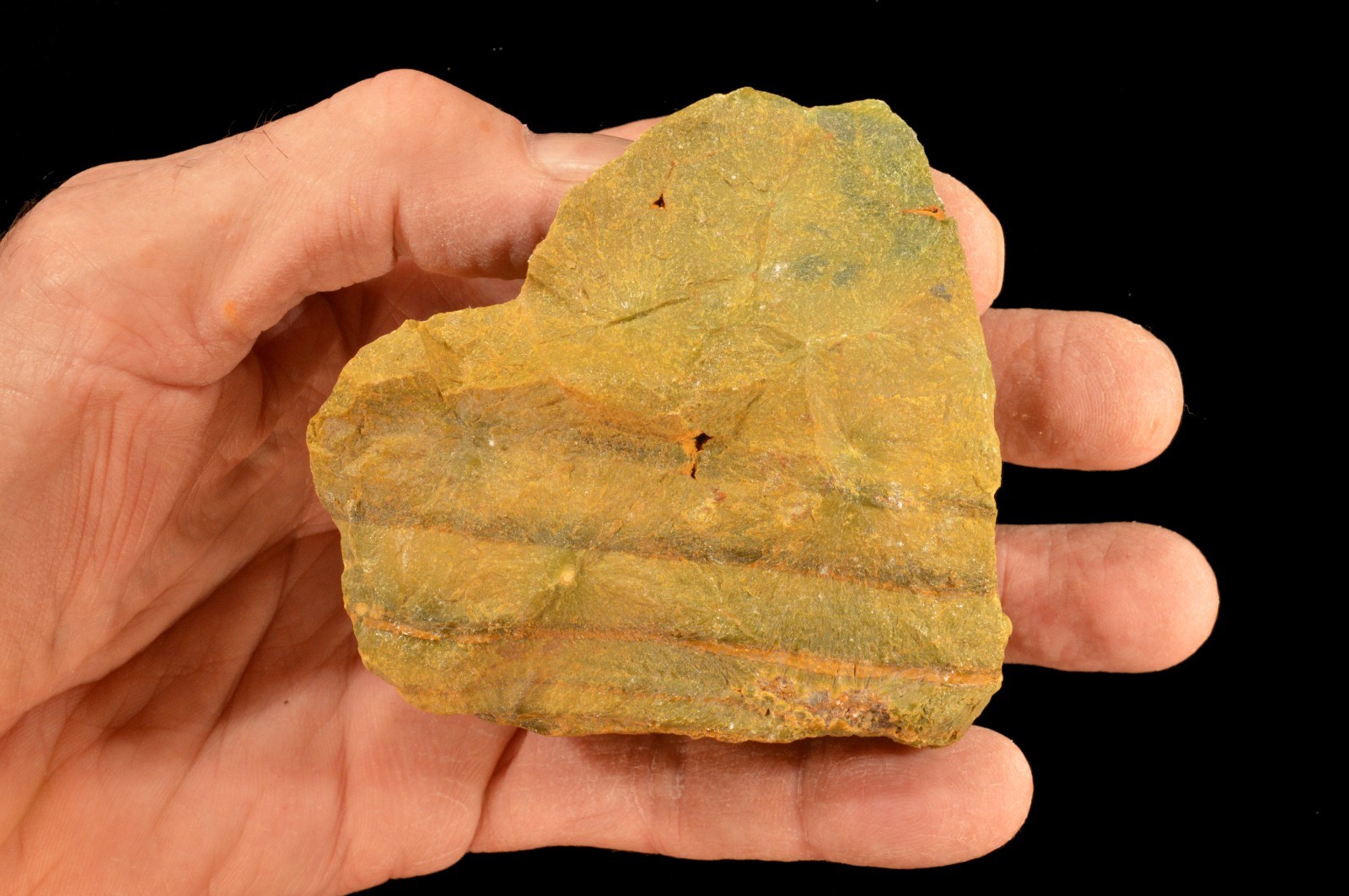 OCEAN JASPER 3″ x 3″ 1 Lb 1 Oz Rock Mineral Specimen Lapidary Rough Chakra Stone
