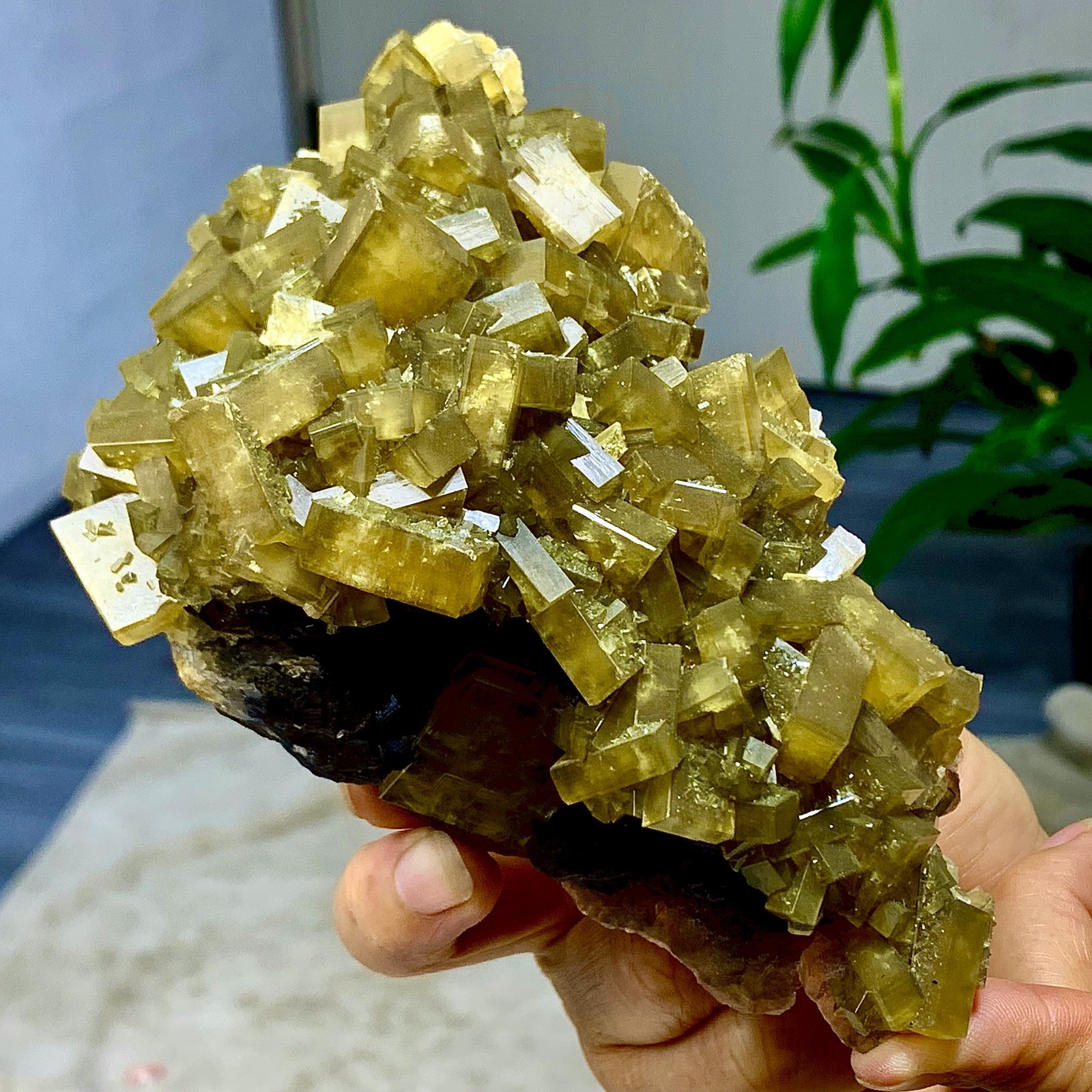 2.36LB Shiny Golden Cuboid Barite Crystal Based on the Purple Spherical Fluorite