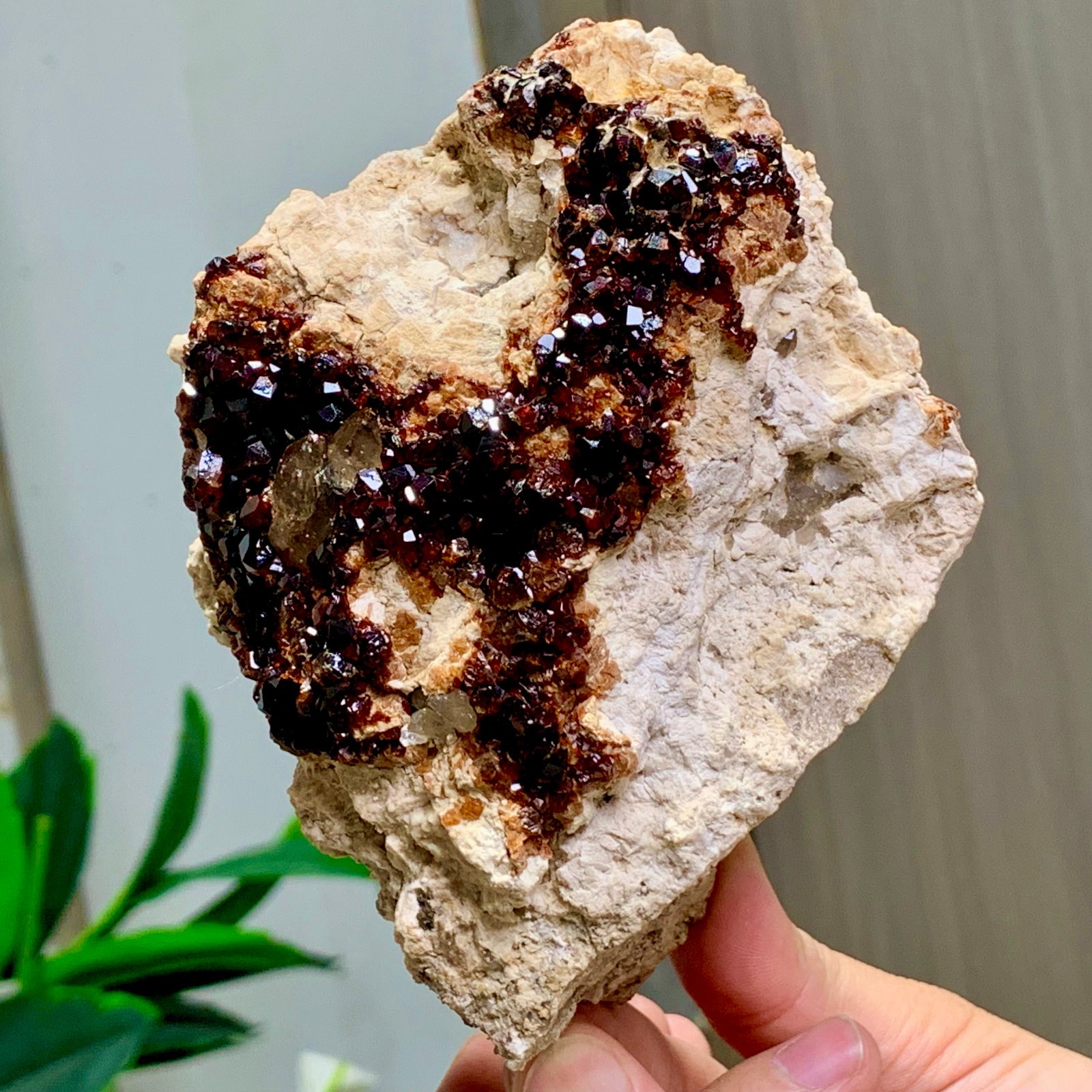 1.92LB Natural Garnet with smokey quartz cluster Crystal Mineral Specimen