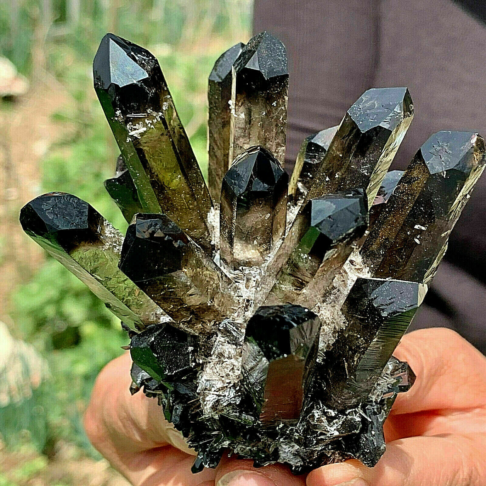 New Find black Phantom Quartz Crystal Cluster Mineral Specimen Healing 400g+ 1pc