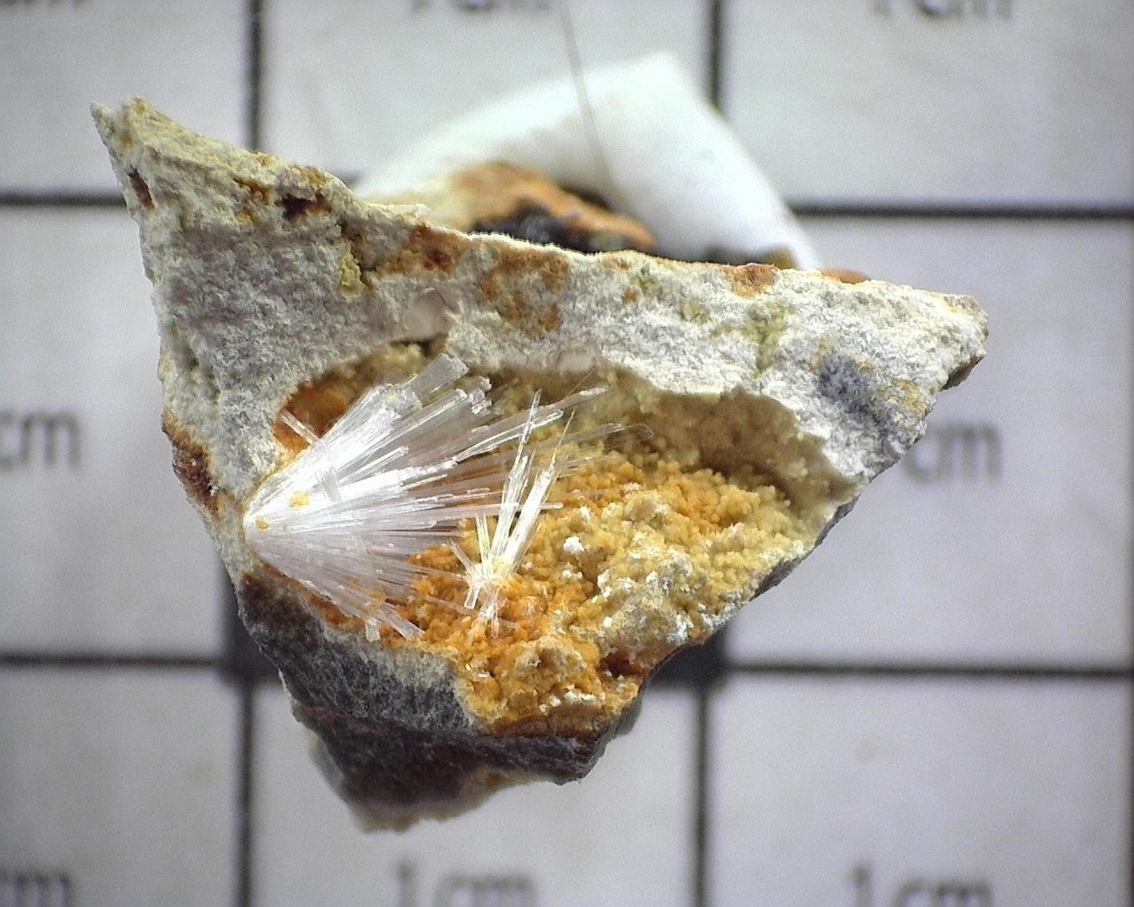 14365 MM Gypsum v Selenite Big Cliff Clackamas Co OR USA 67481