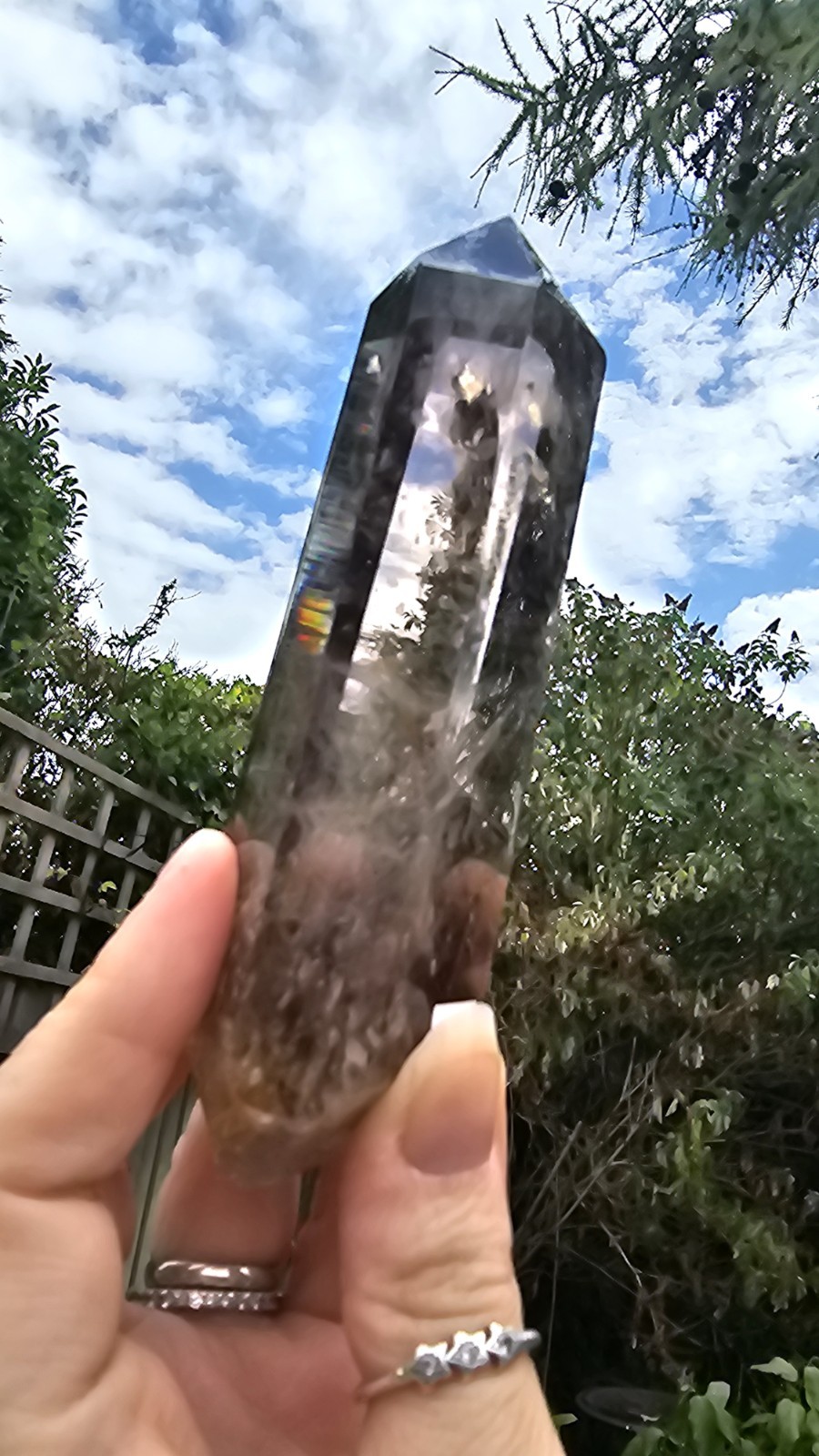 A Grade Smokey Quartz Freeform On Wood Root Base Point 261g 15.5cm smoky