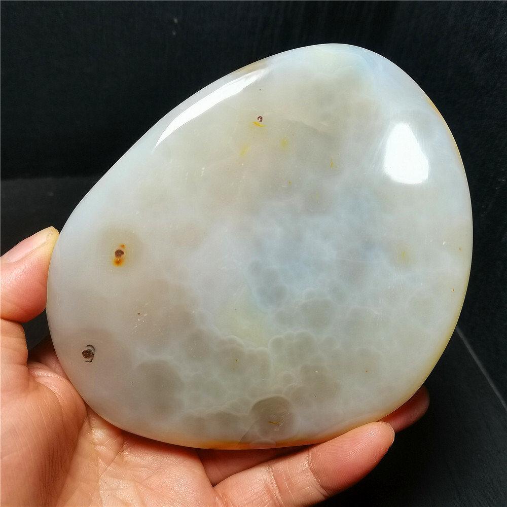 TOP 384 G Natural Polished Aquatic Plants Agate Crystal Madagascar BY384