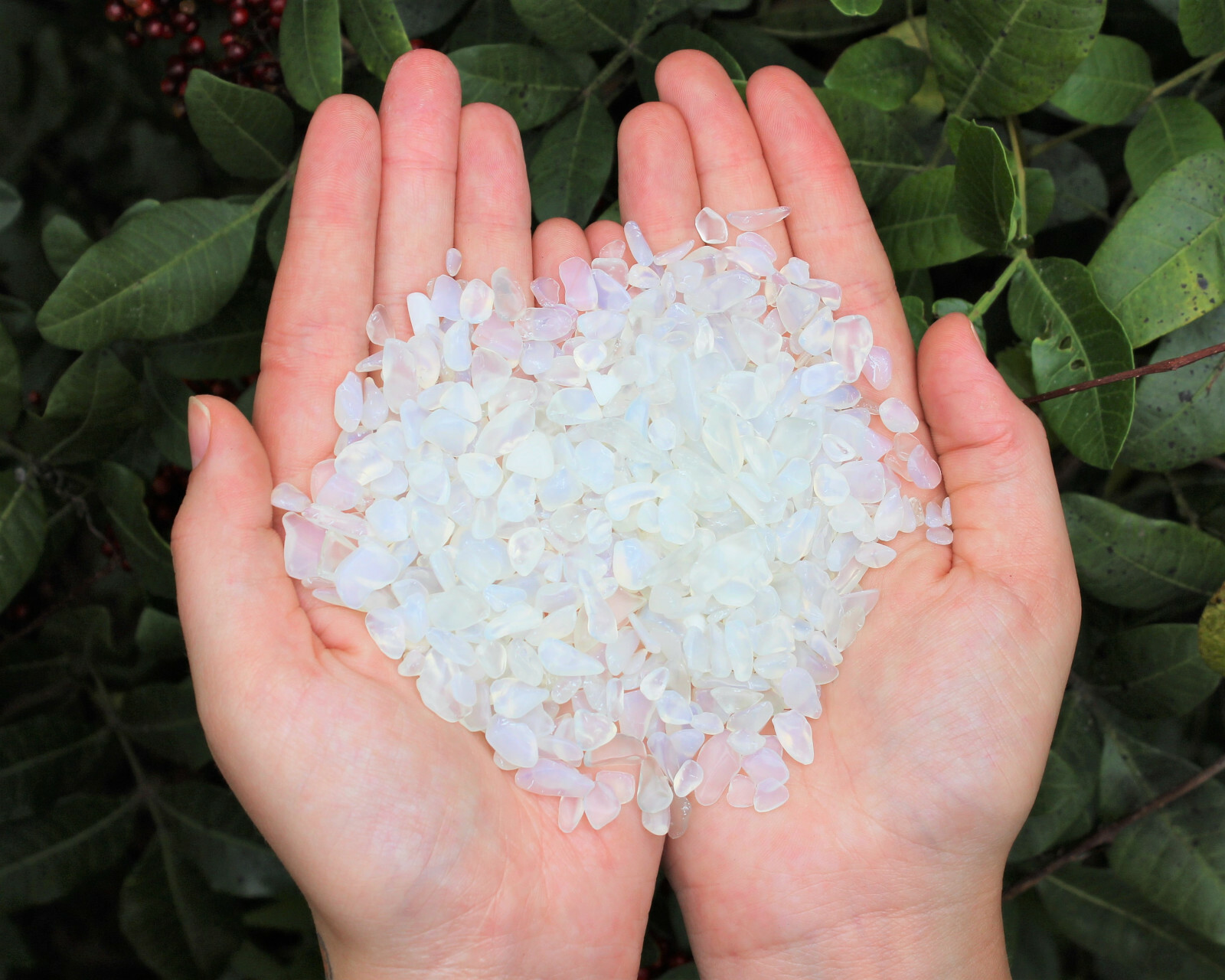 Opalite Semi Tumbled Gemstone Mini Chips 5 – 15 mm, A Grade Wholesale Bulk Lots