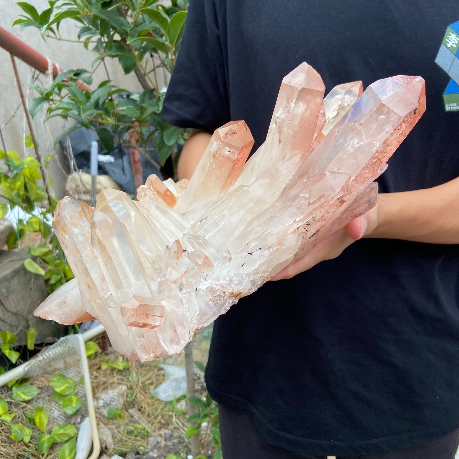 14.3lb Natural Clear White Quartz Crystal Cluster Energy Healing Specimen