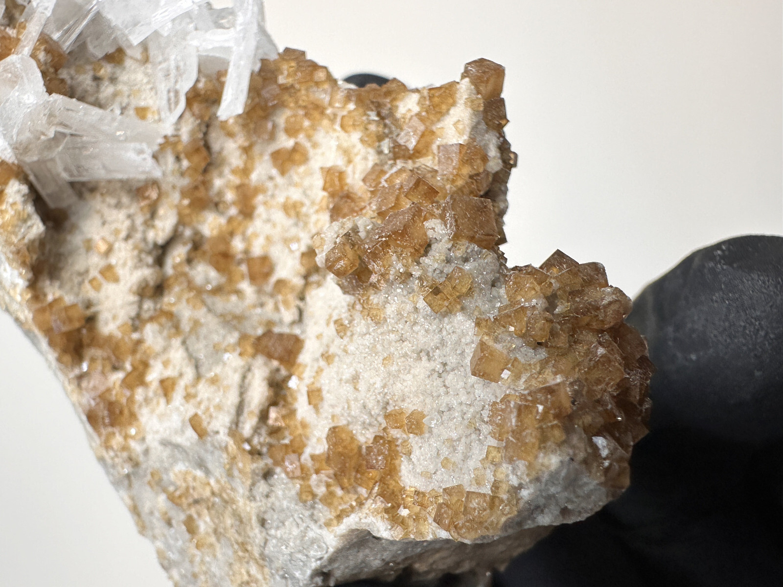 FLUORESCENT__Large Root beer Fluorite & Celestite Specimen / Clay Center Ohio