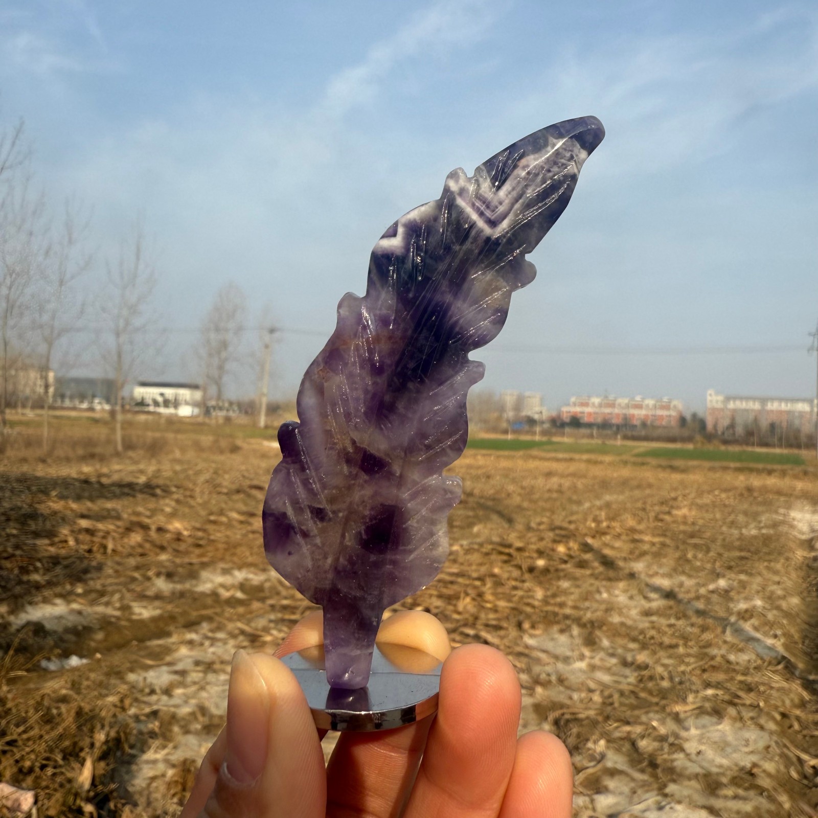 3.6″Natural Dream Amethyst hand carved Feathers Quartz Crystal heal Gift 1pc