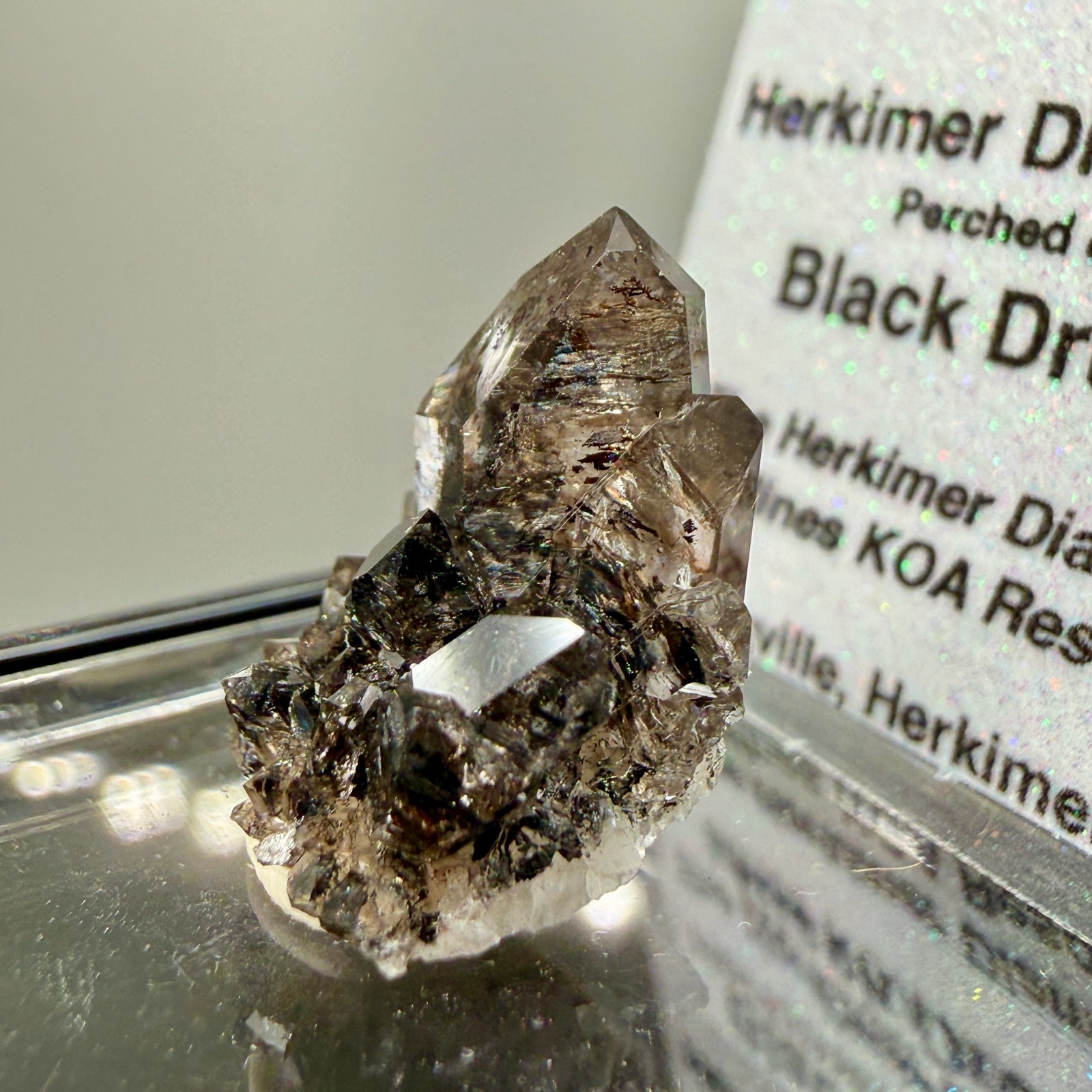 Herkimer Diamond Perched on Rare Black Druze, Gem Points w/ Phantoms