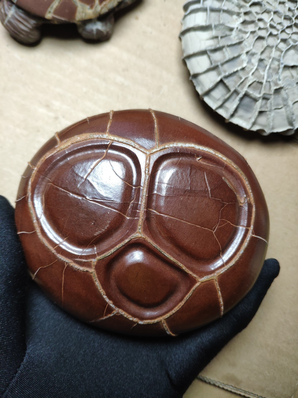 680g beautiful Natural tortoise back pattern stone Landscape stone