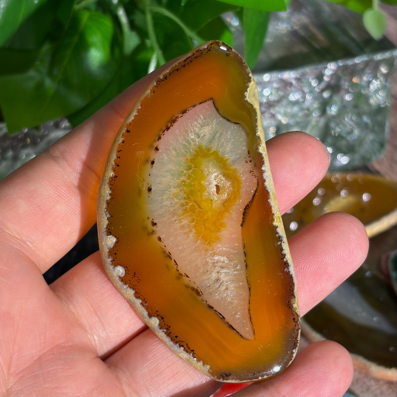 Agate Slices Bulk Lot – Random Colors & Shapes – Min 100g Guaranteed