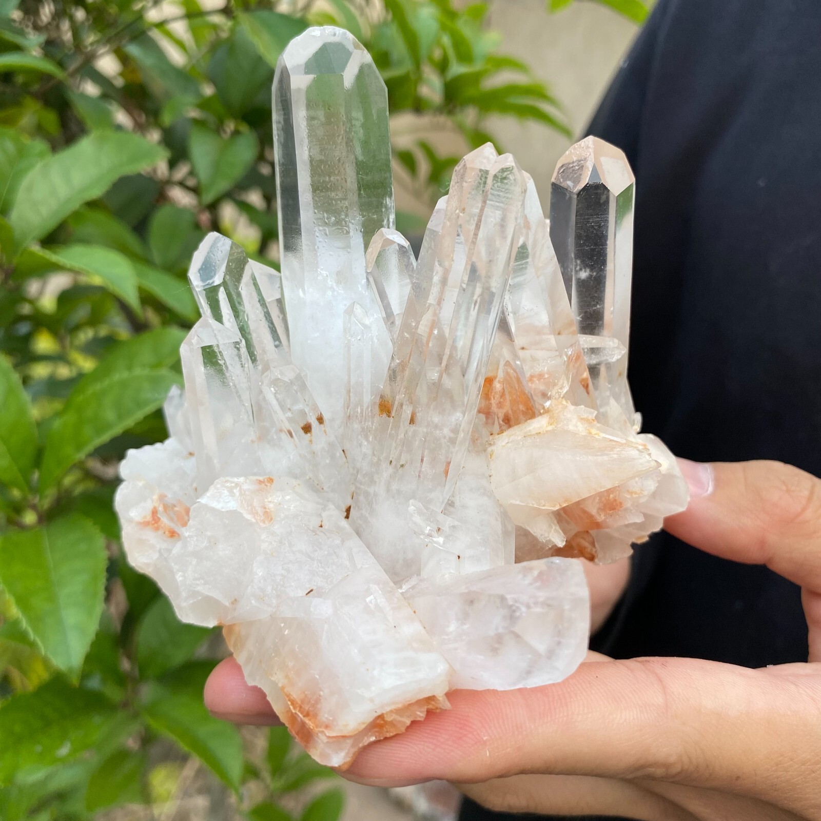 1.6lb Natural Clear White quart Crystal Cluster Raw Healing Specimen