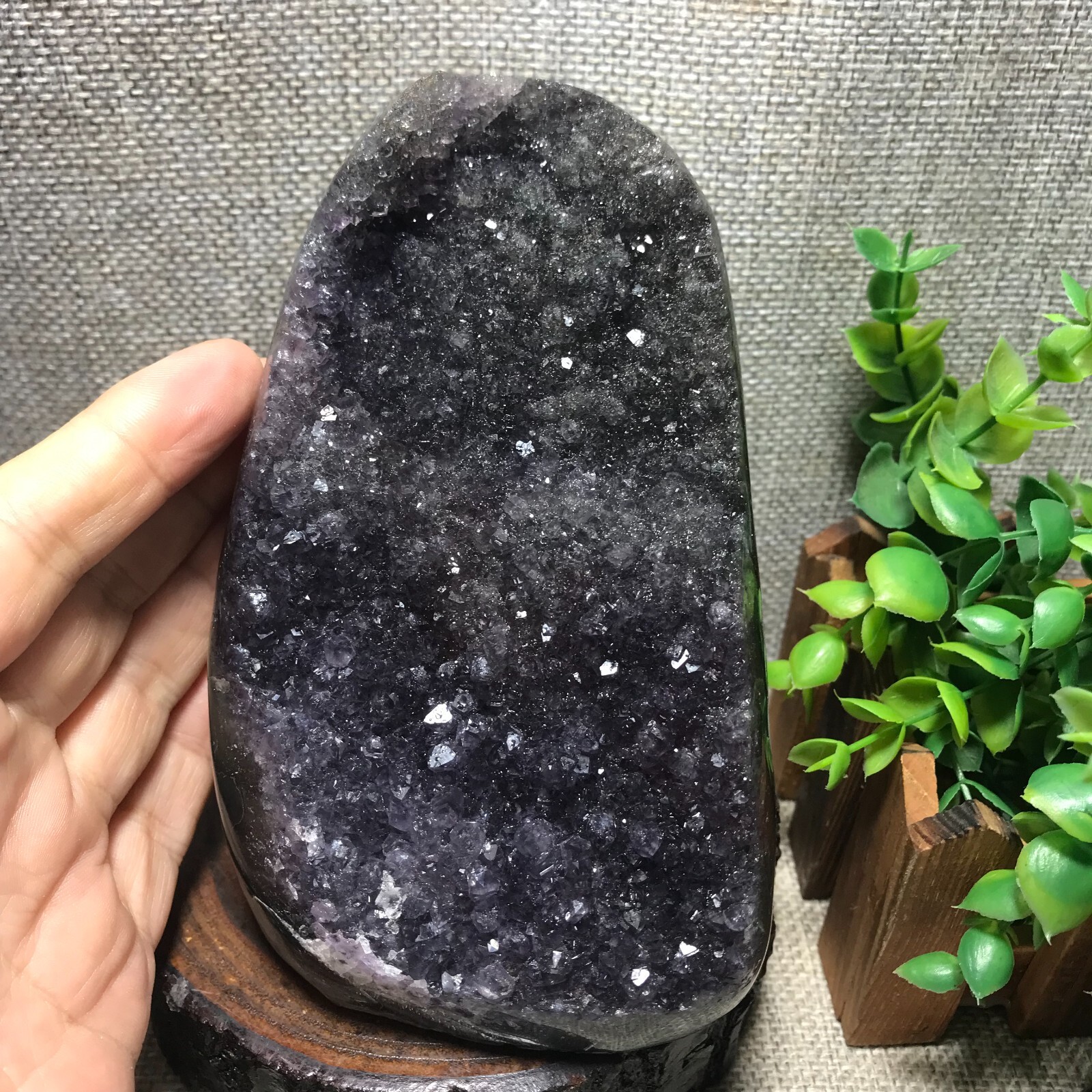 1400g Natural Amethyst Cluster Geodes Cut Base Quartz Crystal Healing 35
