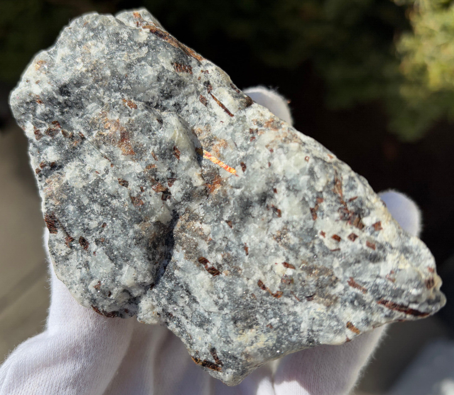 USA SALE SEE VIDEO 4″ 309g 2/3LB AUTHENTIC ASTROPHYLLITE ROUGH SPECIMEN LAPIDARY