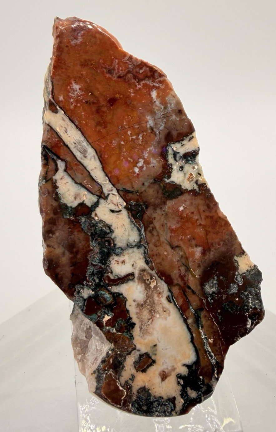 Moroccan Jasper Agate Specimen 3 in Polished Brecciated Jasper Slab 1.25 oz
