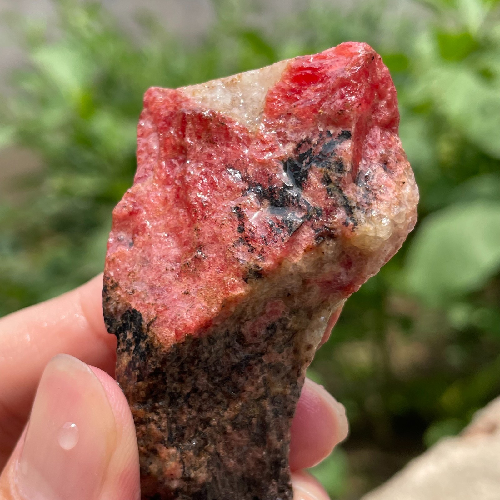 69g Small Raw Ore Red Black Rhodonite Quartz Gemstone Mineral Specimen