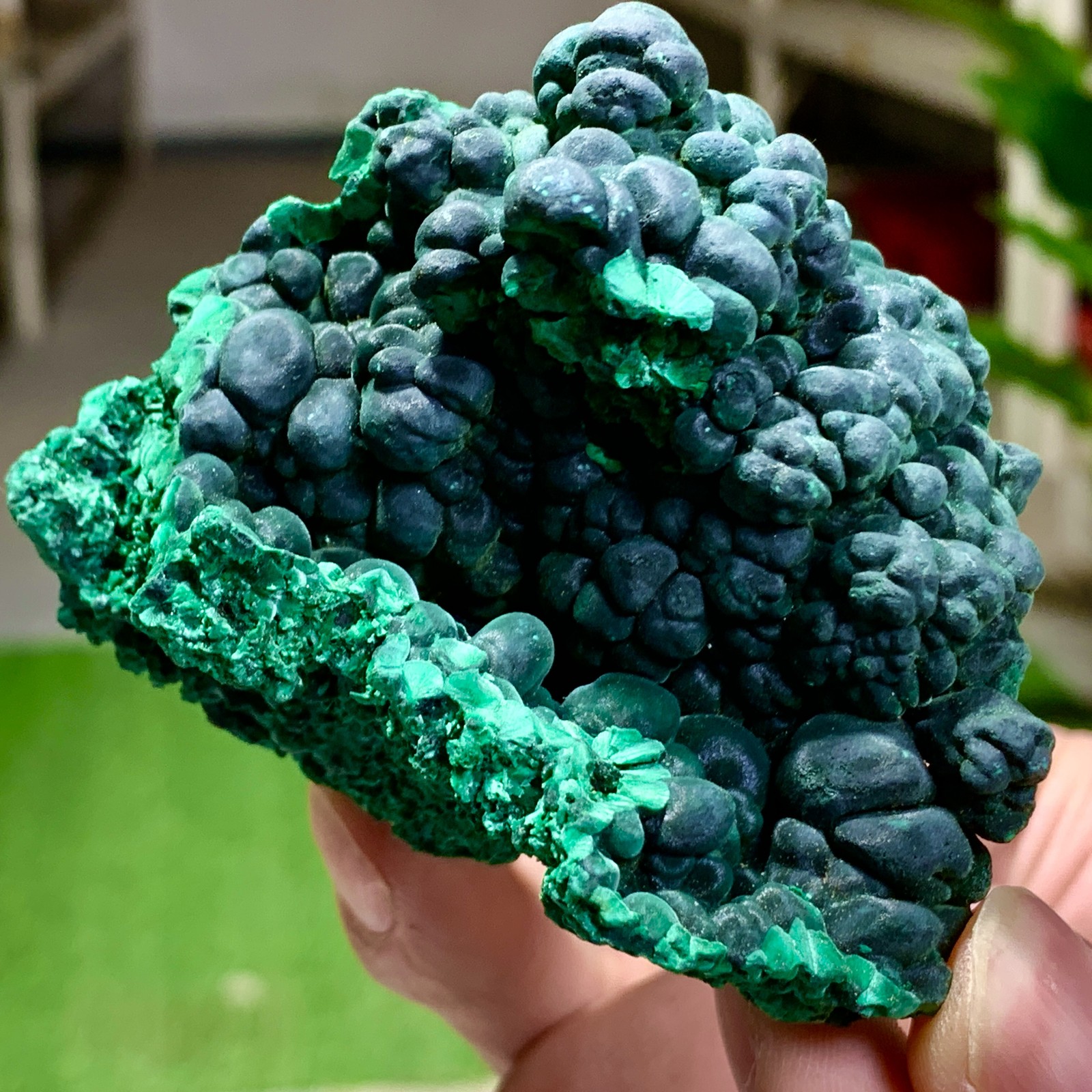 205G Natural glossy malachite cat eye transparent cluster rough mineral Sample