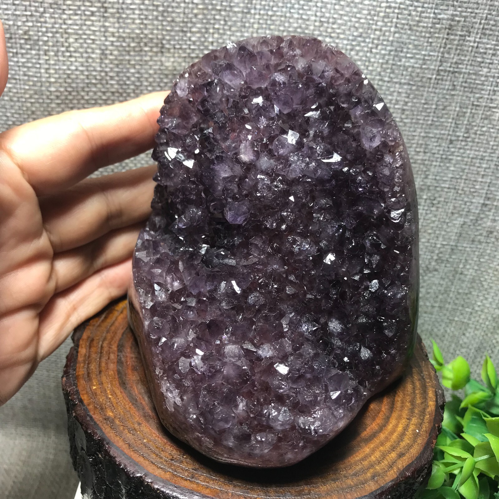 821g Natural Amethyst Cluster Geodes Cut Base Quartz Crystal Healing Specimen 32
