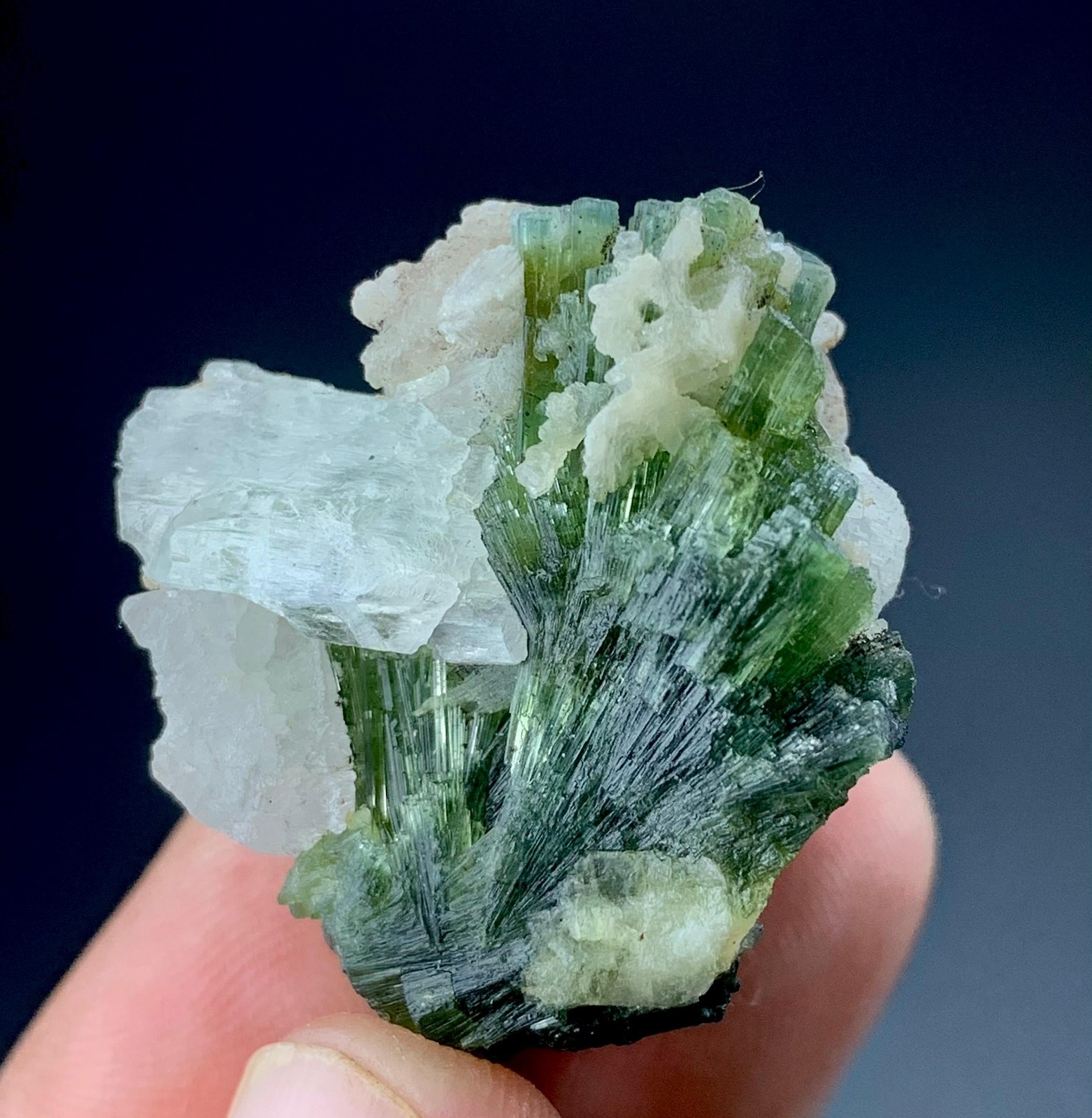 90Cts Beautiful Tourmaline Crystals Bunch With Kunzite From Afghanistan.