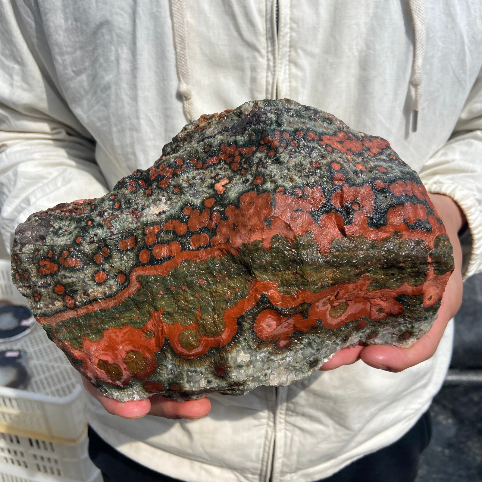 8lb Rare Natural colourful ocean jasper quartz crystal rough mineral specimen