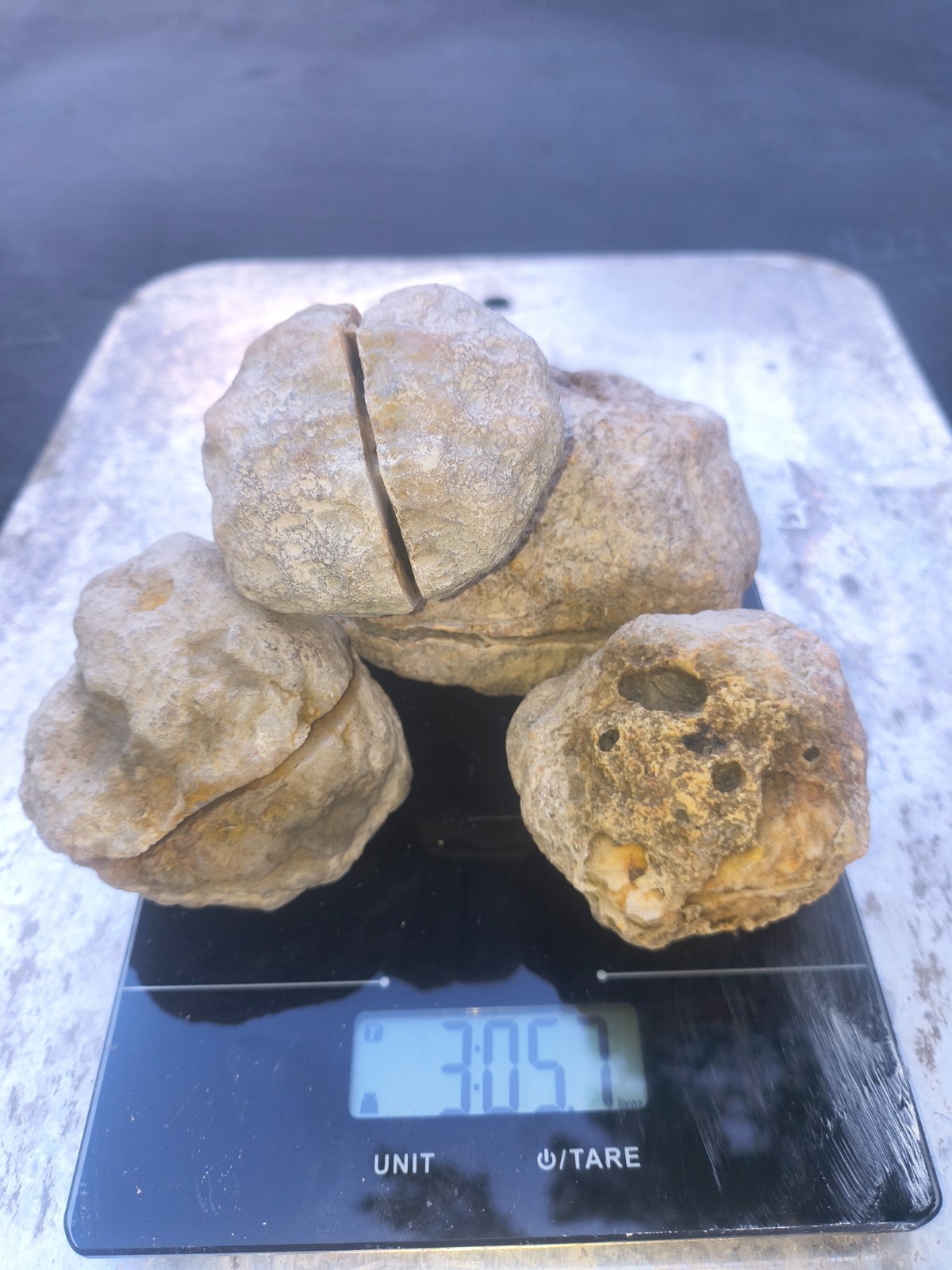 3 LB Kentucky KY Geodes Pre-Scored Crack Your Own Set 4 Piece Lot Hand Collected
