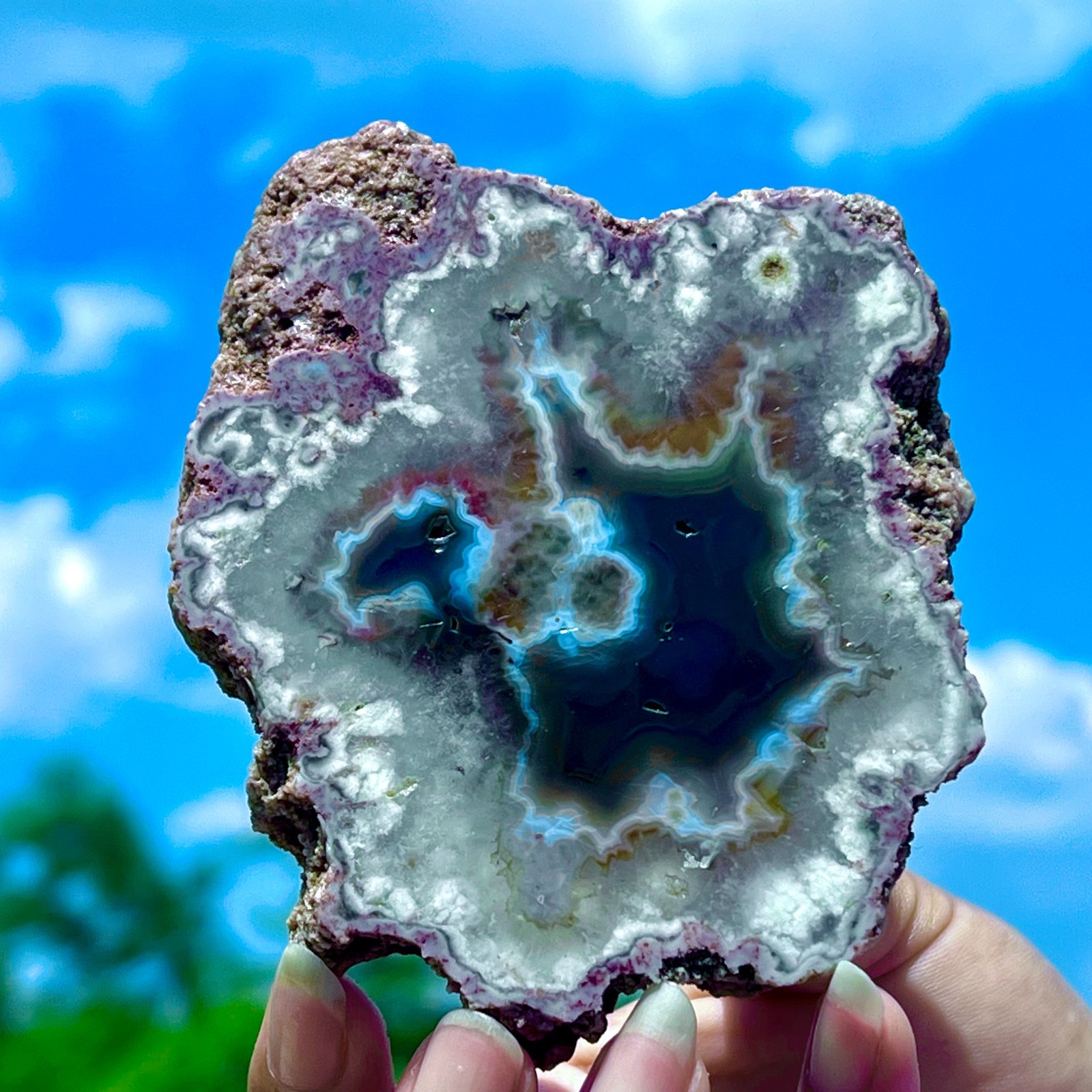 182G Natural Colorful Lace Agate Geode Slice Extra Large Gem From Argentina