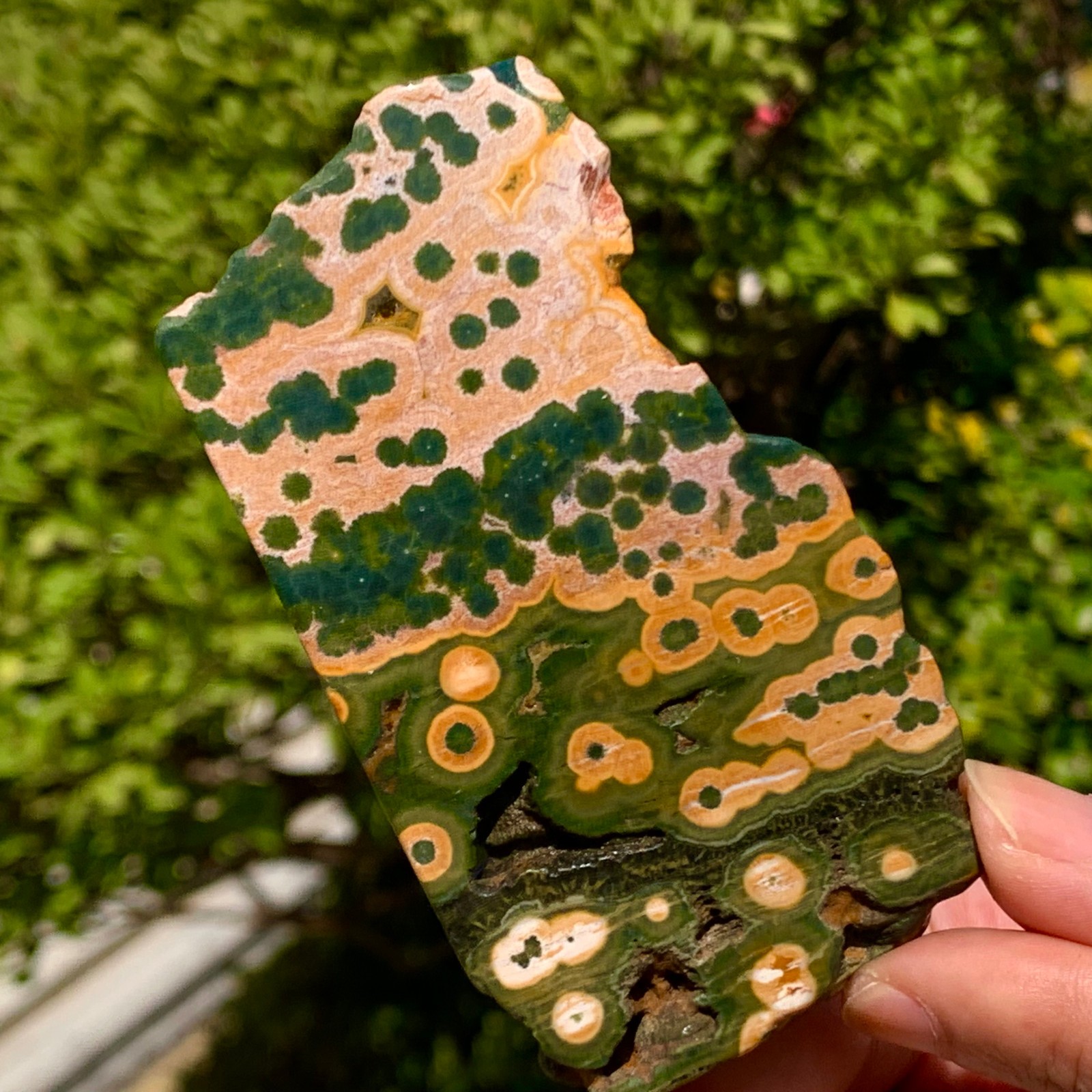 82G Natural Ocean Jasper Crystal SliceLarge Specimen Healing- Museum