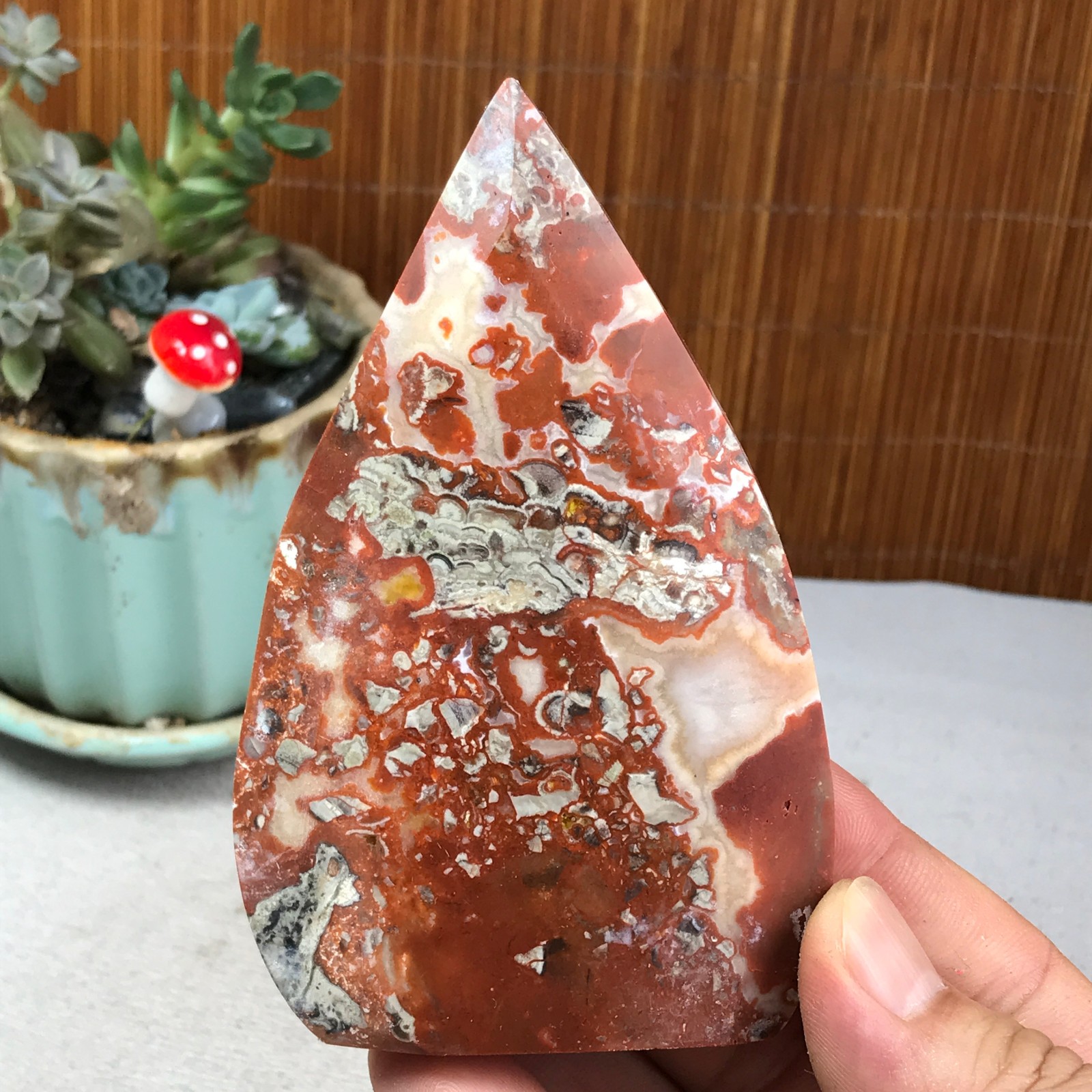Natural money Mexico agate hand carve leaf Crystal Specimen free standing A6259