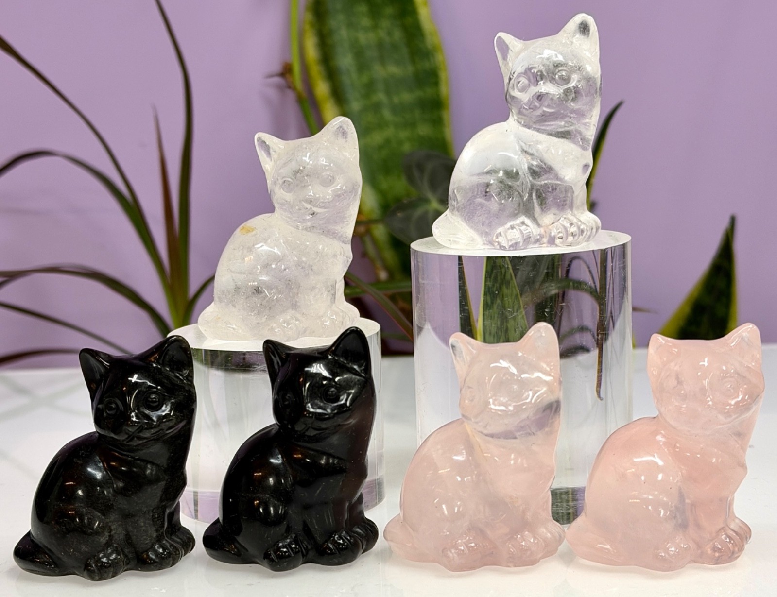 Wholesale Lot 6 Pcs 2” Mixed Natural Crystals Cat Healing Energy