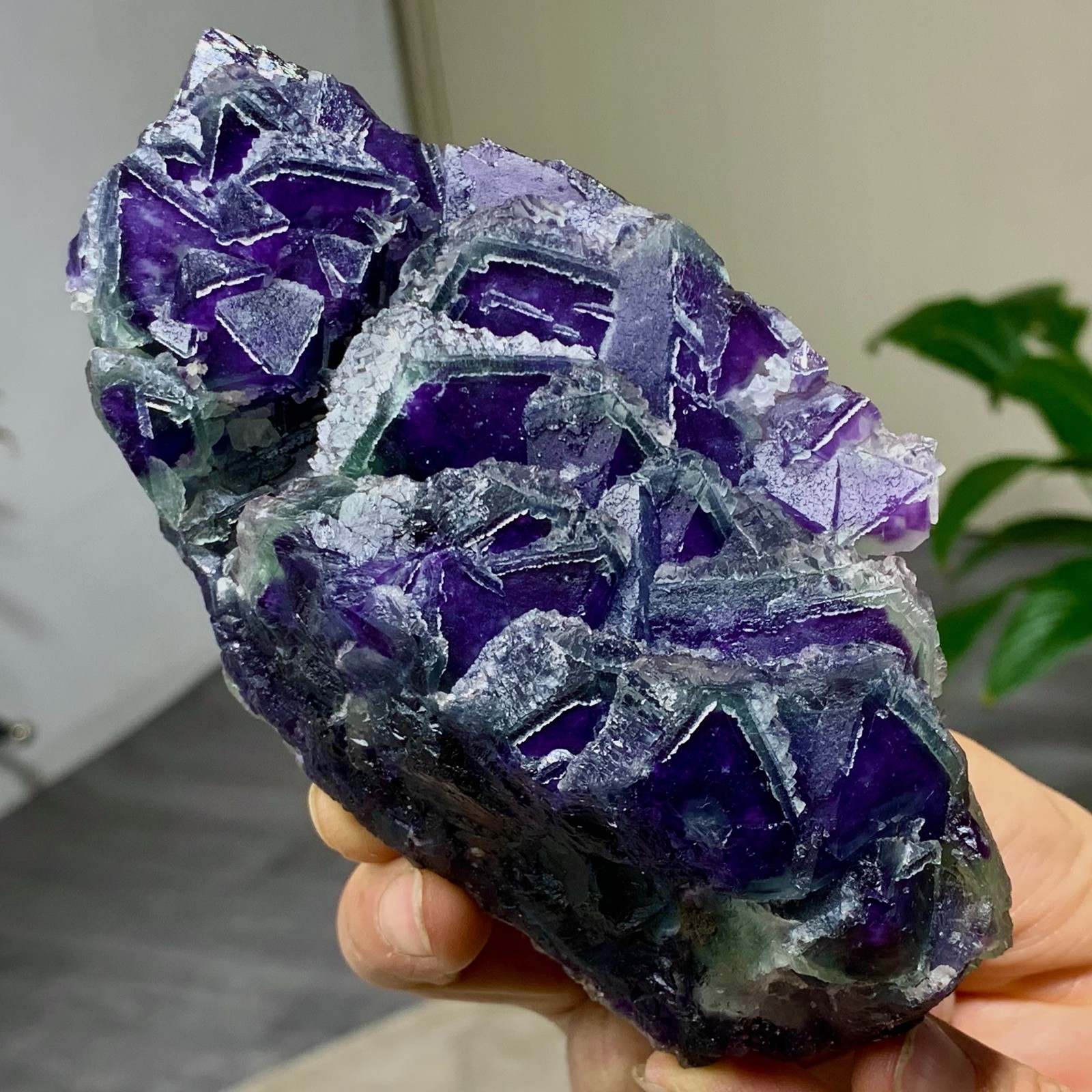 643G Rare transparent purple octahedron fluorite mineral crystal sample/China