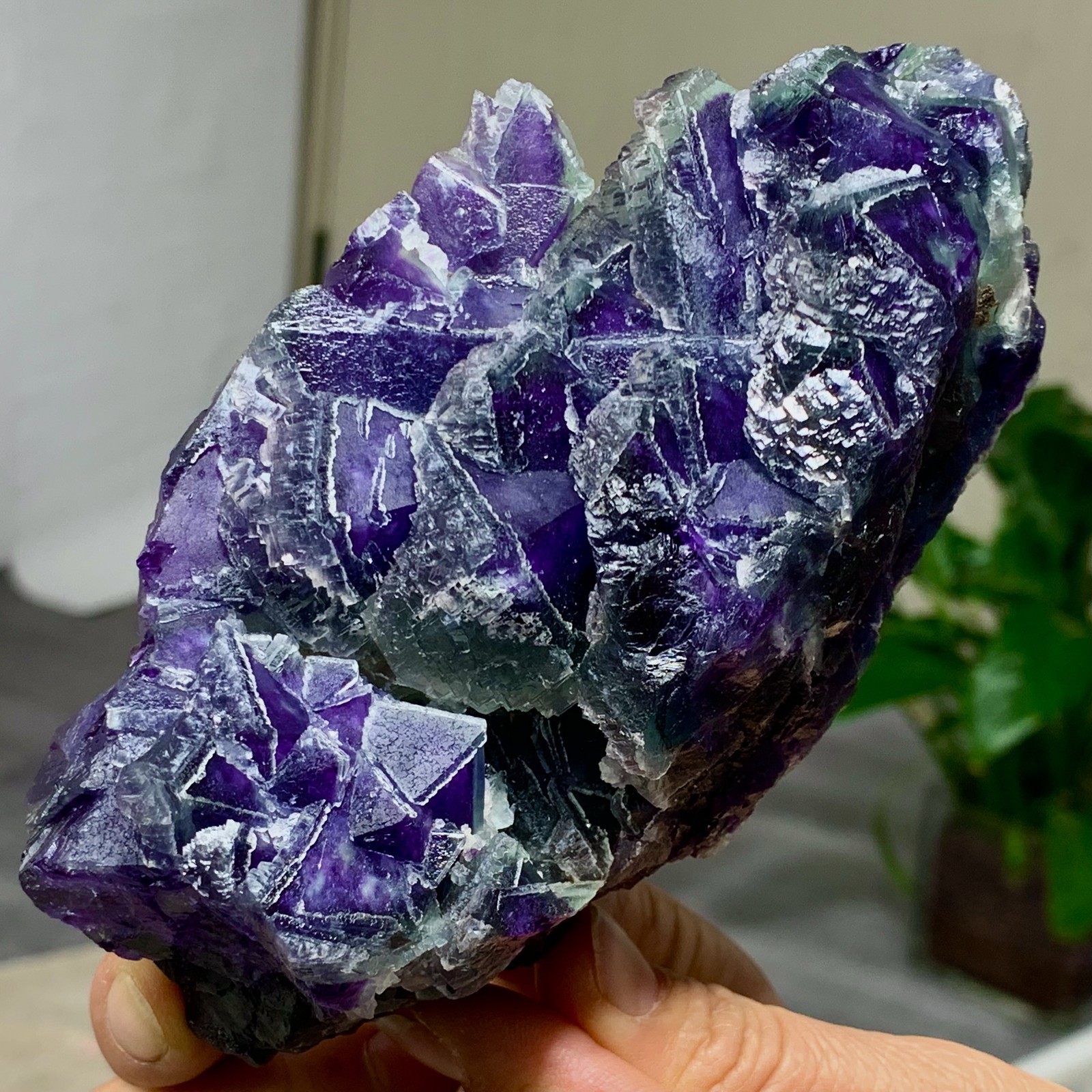 643G Rare transparent purple octahedron fluorite mineral crystal sample/China