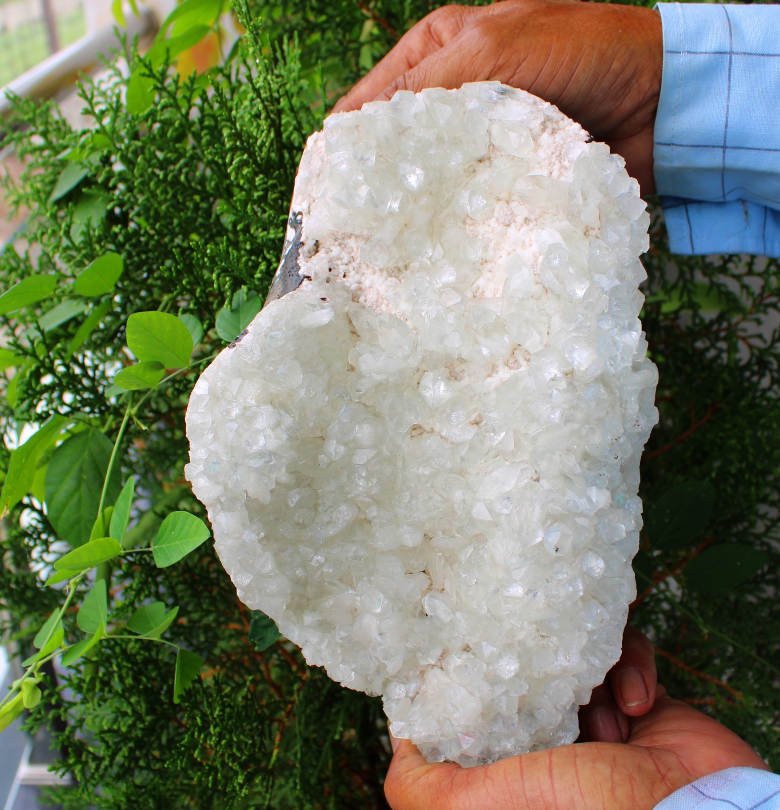 Light Green Apophyllite Crystals On Matrix Mineral Specimen
