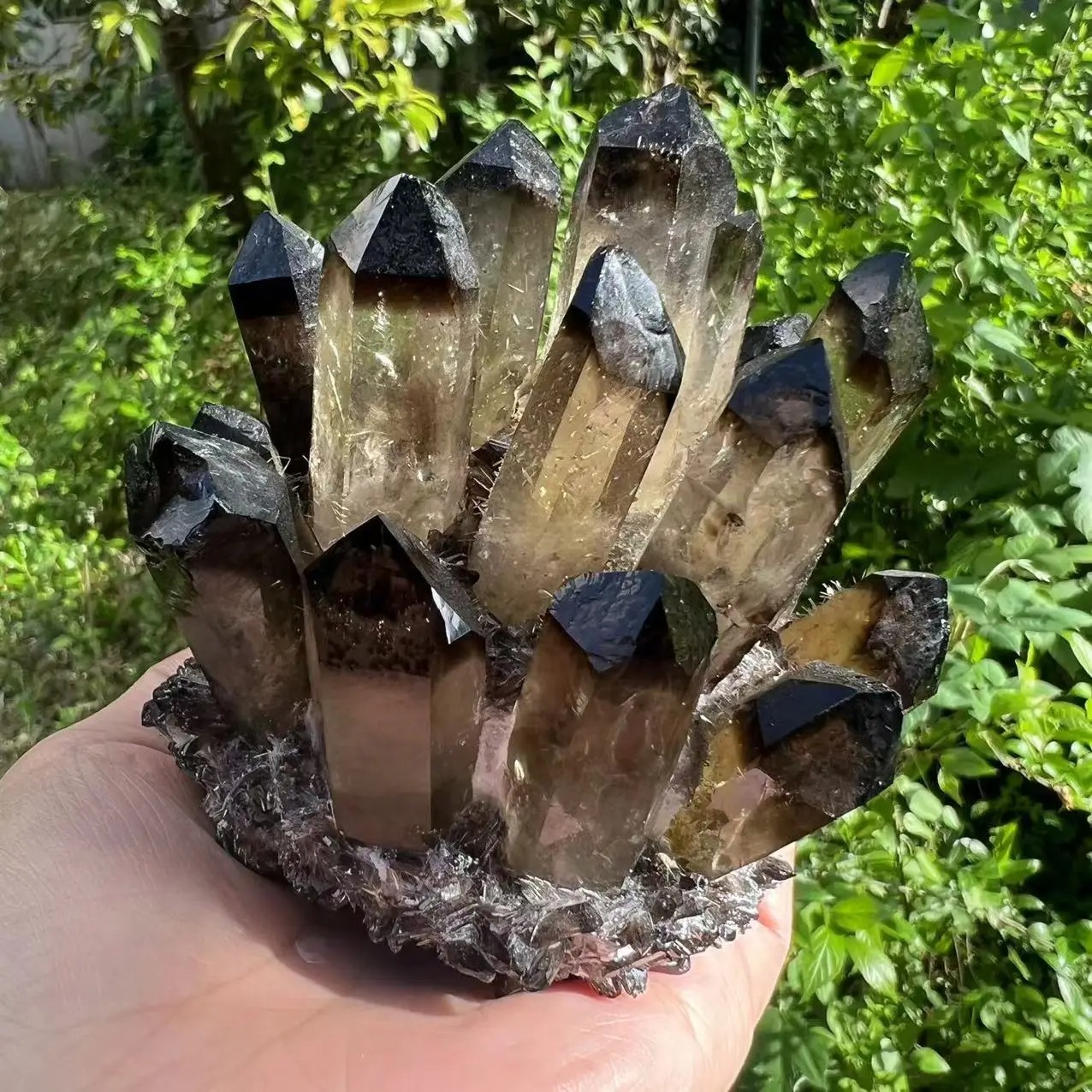 2025 300G New Find Large Smoky Quartz Crystal Healing Cluster Rocks Specimens